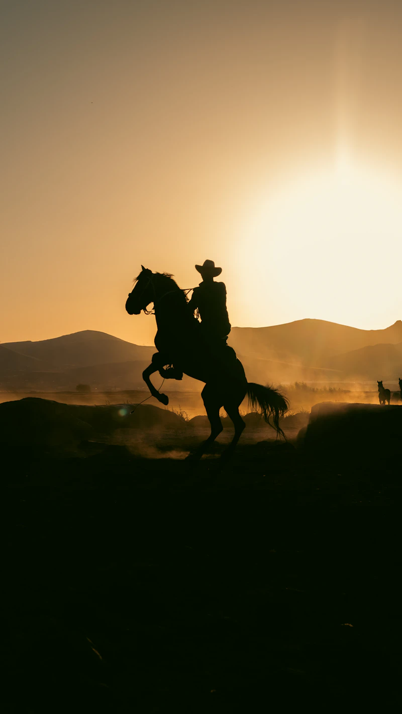 The silhouette of a rider on a horse at sunset