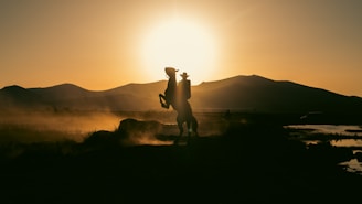 A couple of people standing on top of a hill