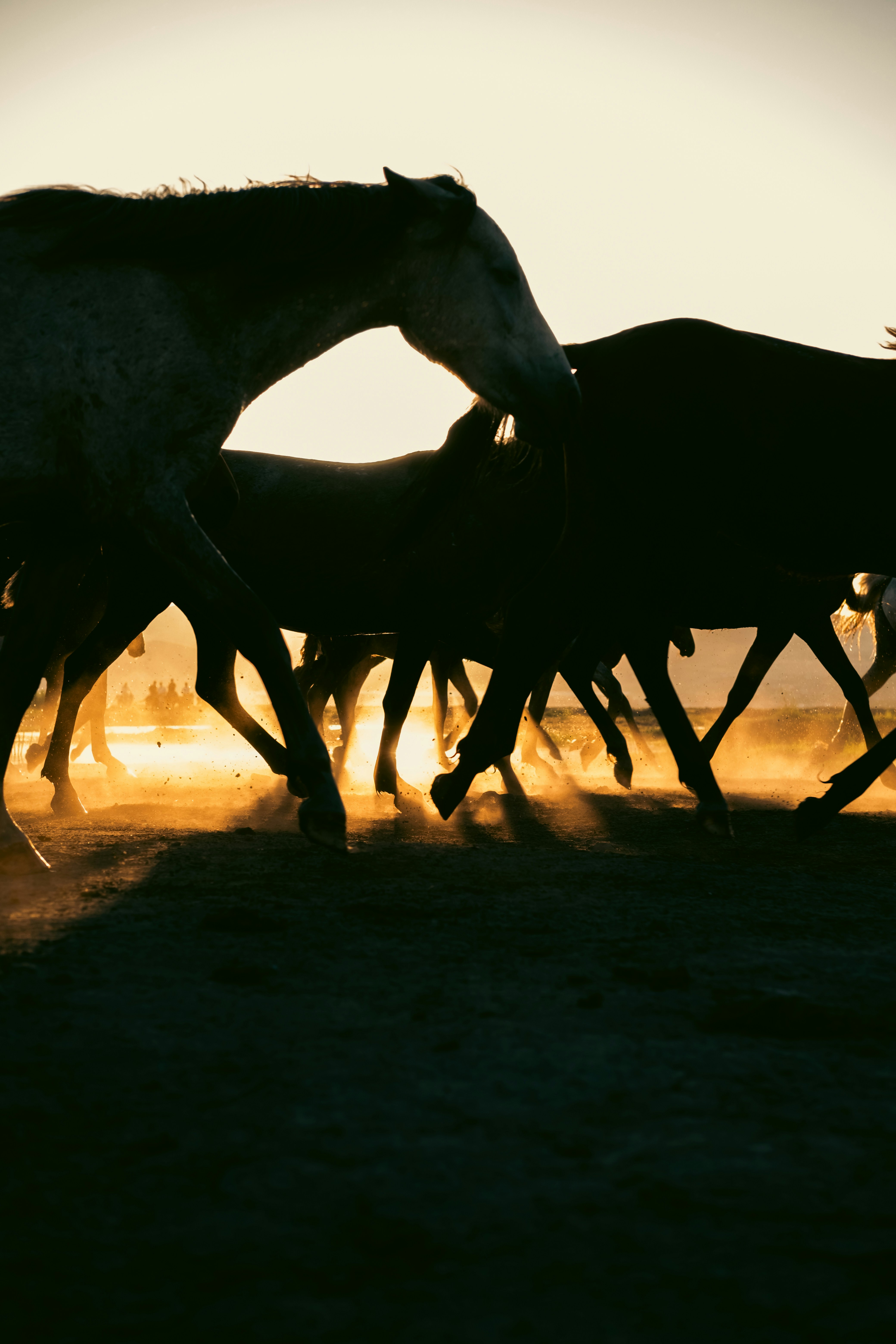Funding boost for Drouin Picnic Racing Club post image