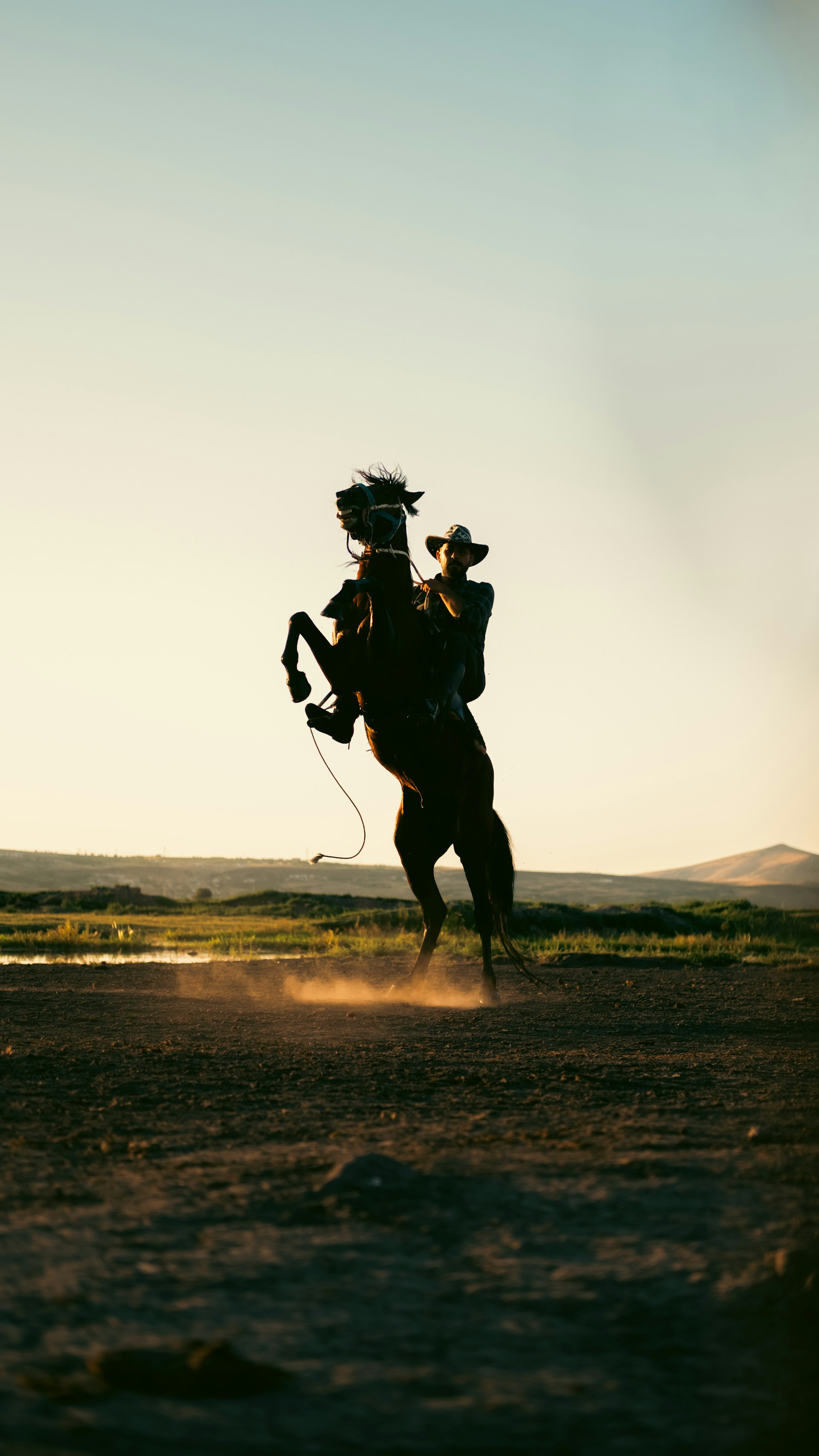 A person riding a horse in the middle of a field