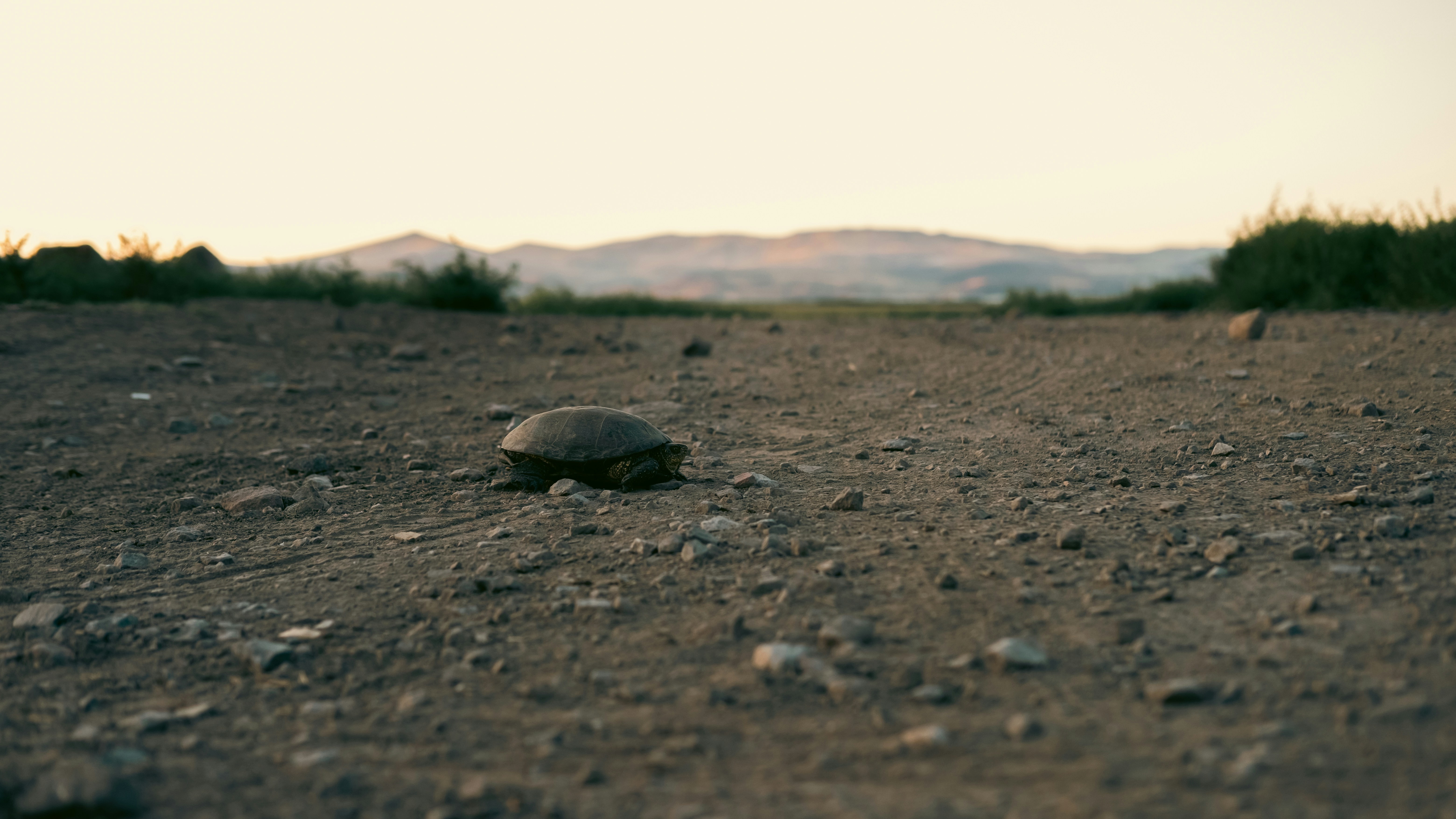 Slow website? Here’s what’s actually causing it (and how to fix it)