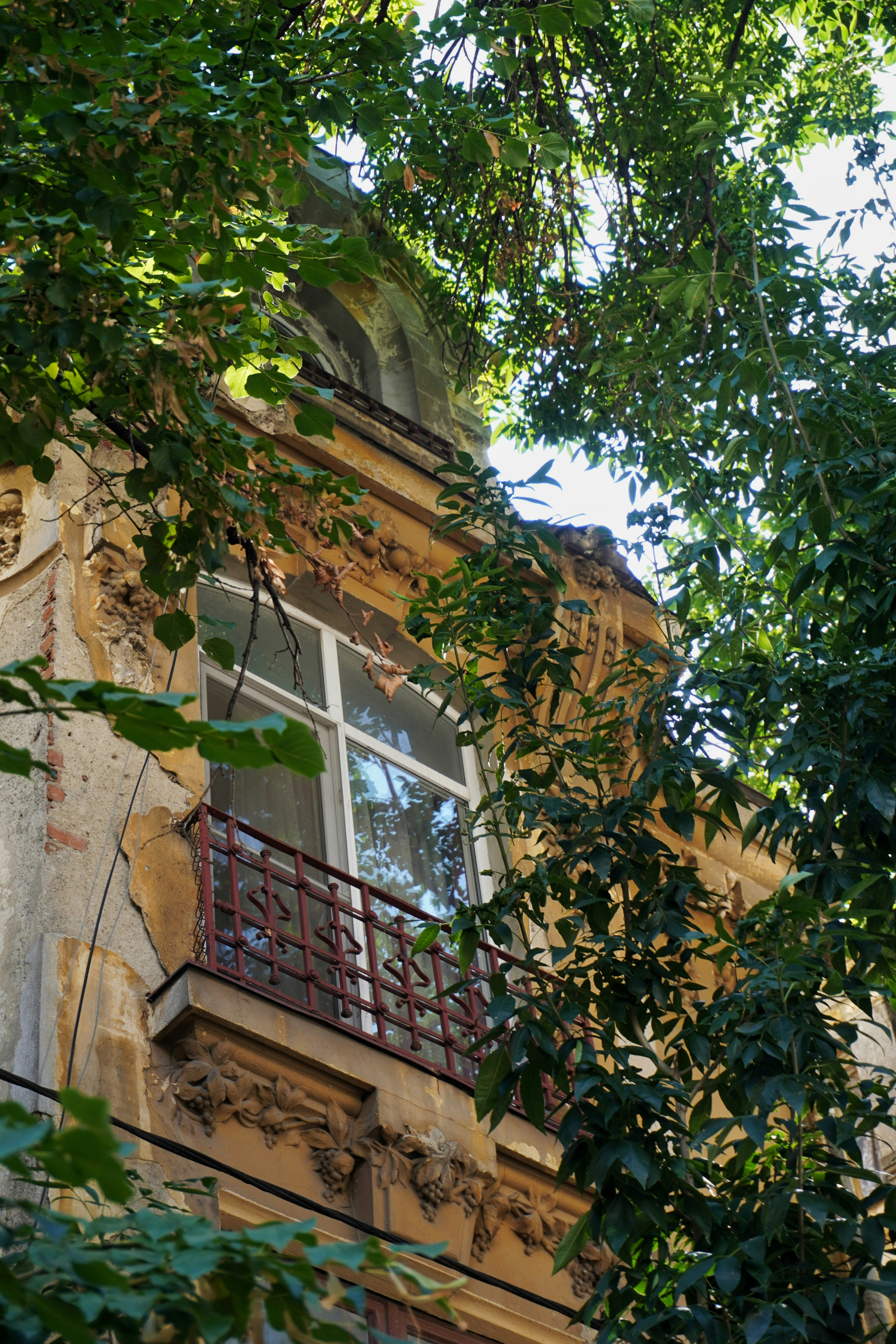 Photo by ioana_roxanna_b