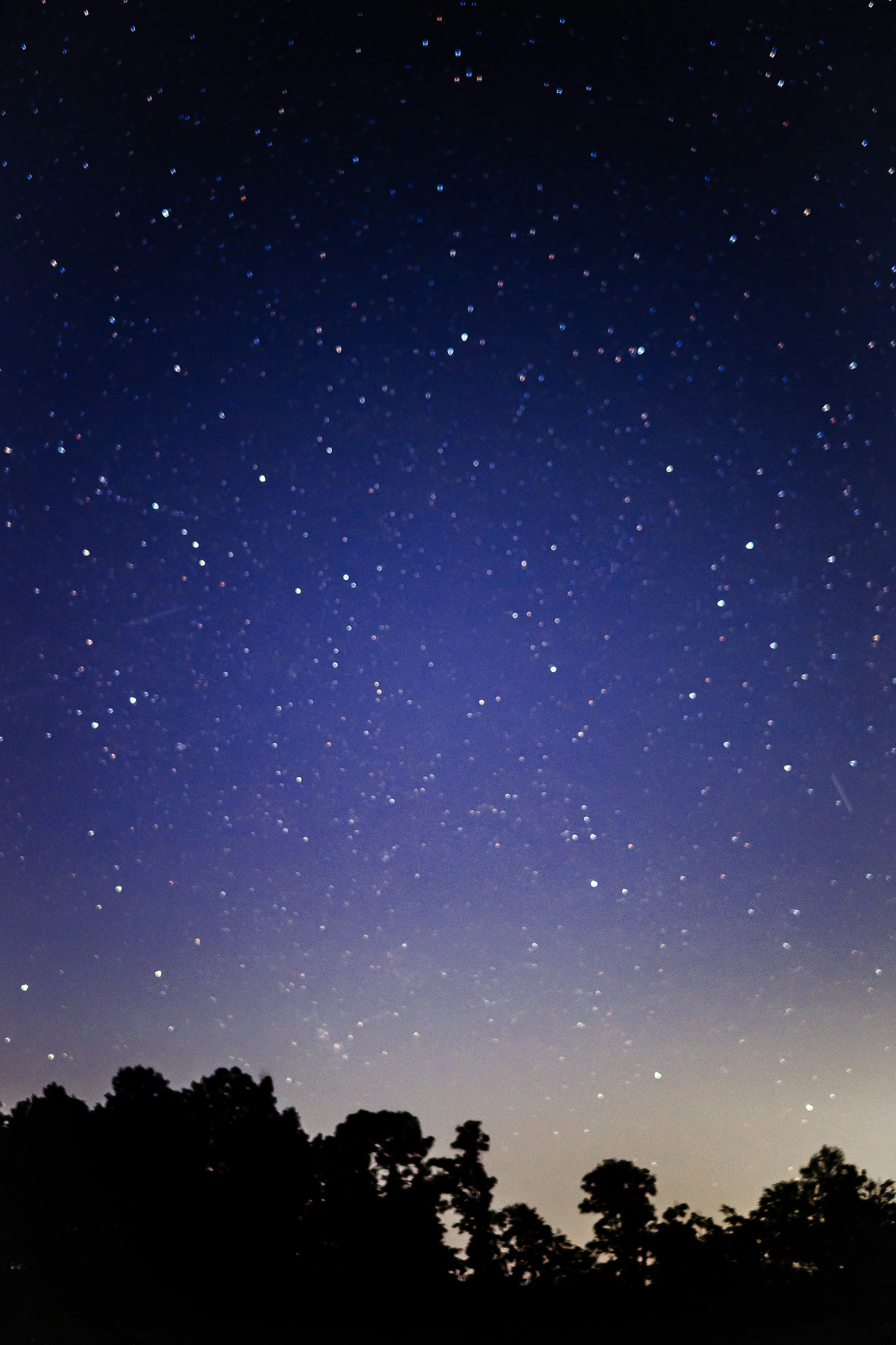 Photo by stephena_photography