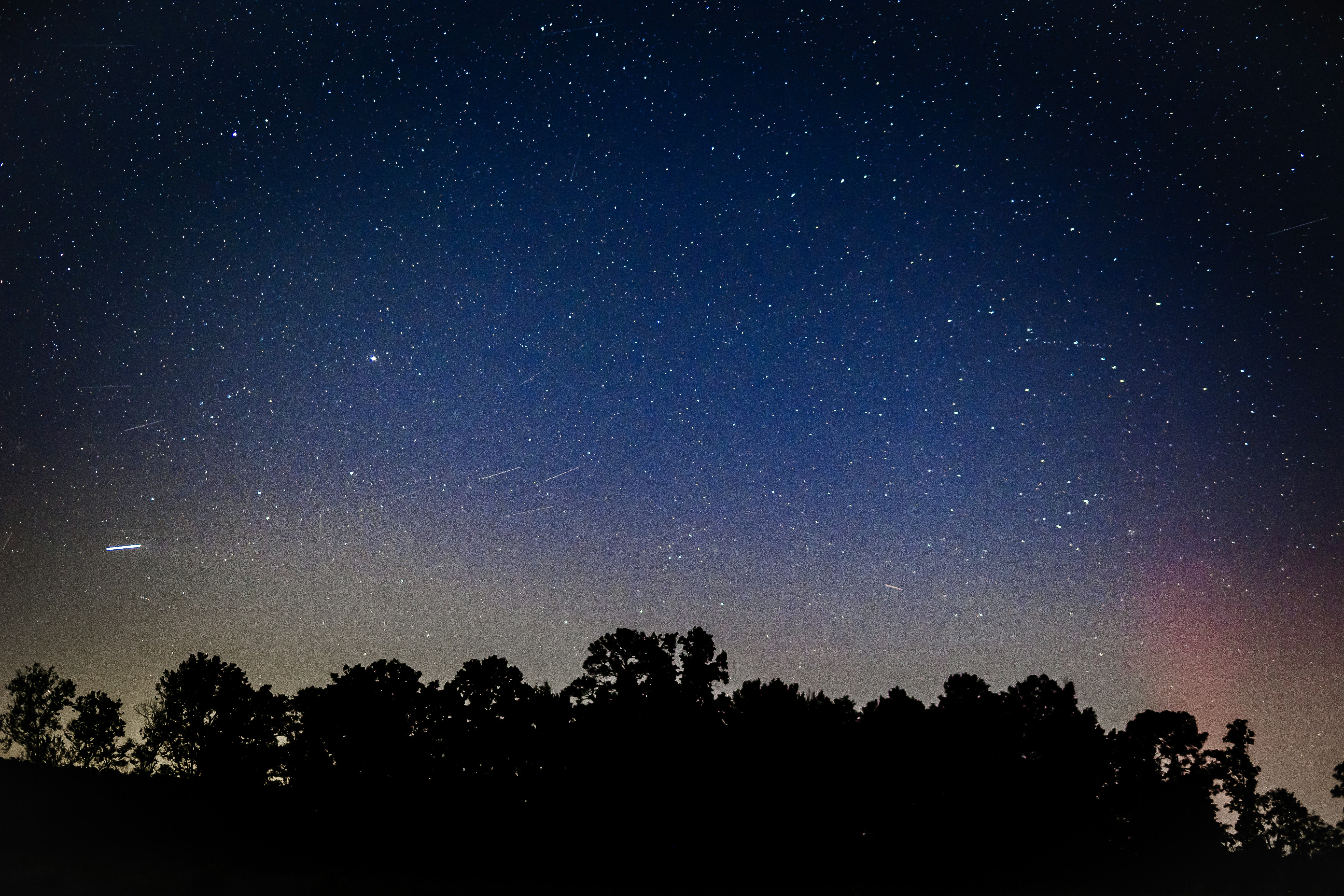 Photo by stephena_photography