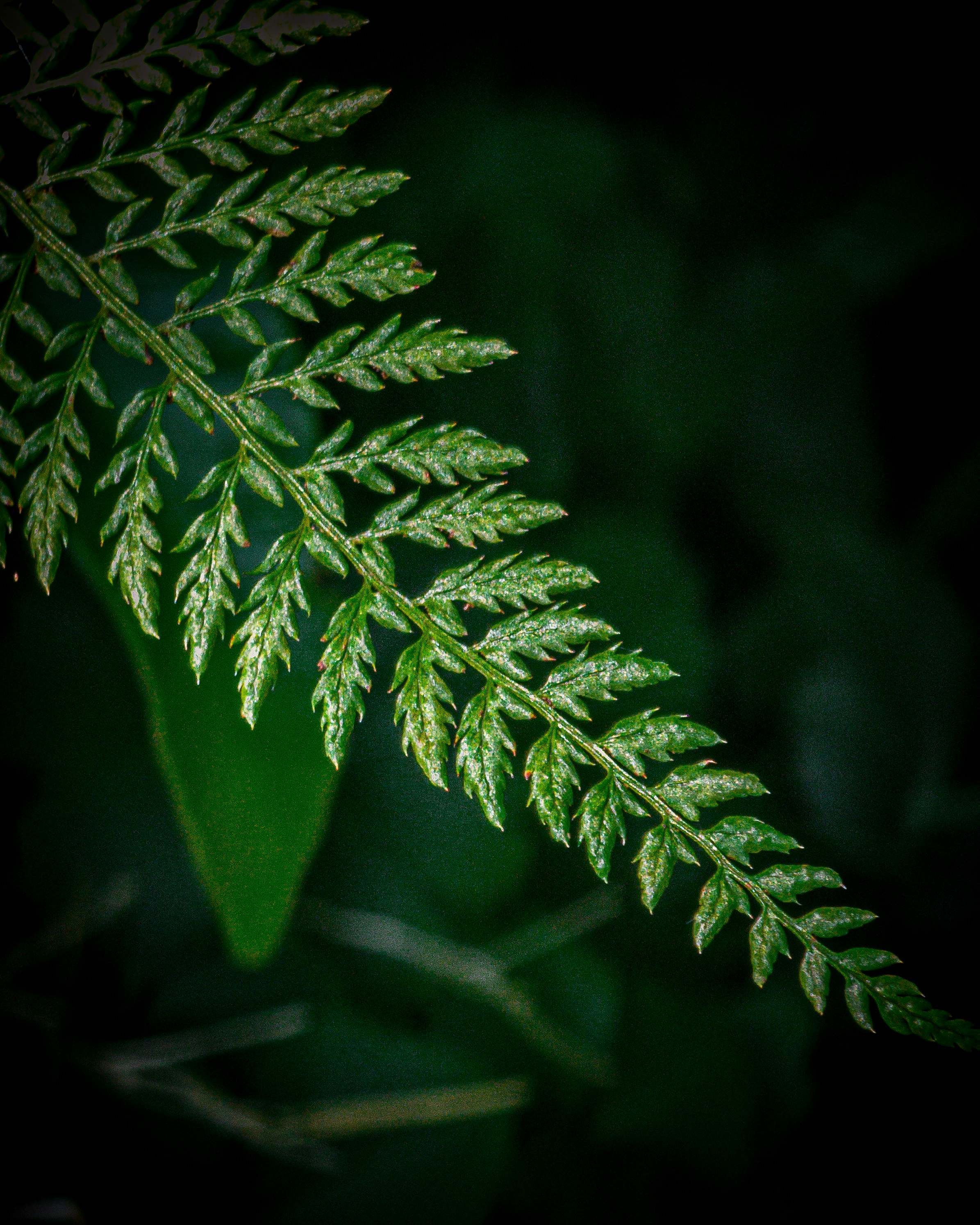 Photo by dvfotografia