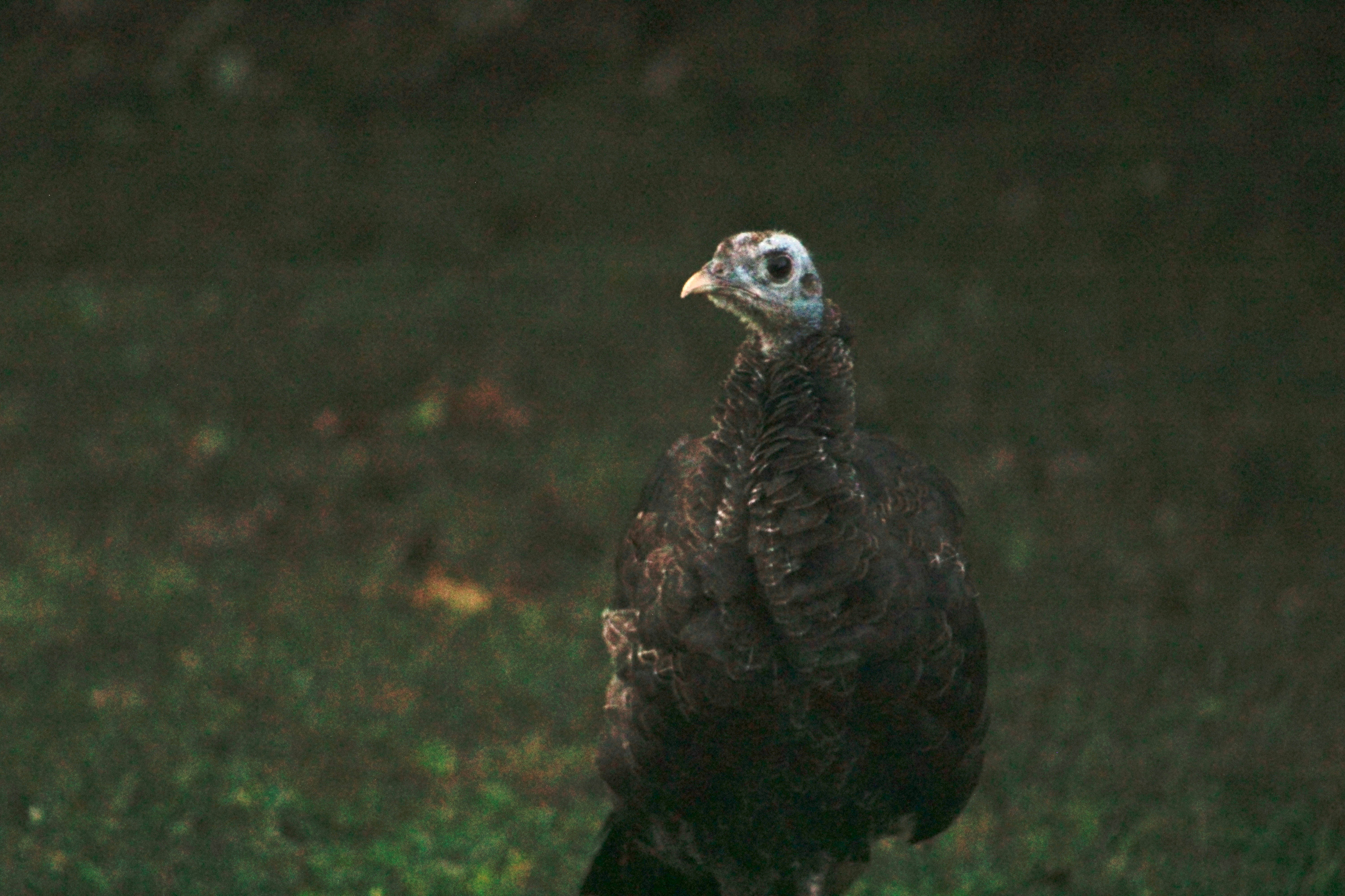 Photo by lisa_duqlaw