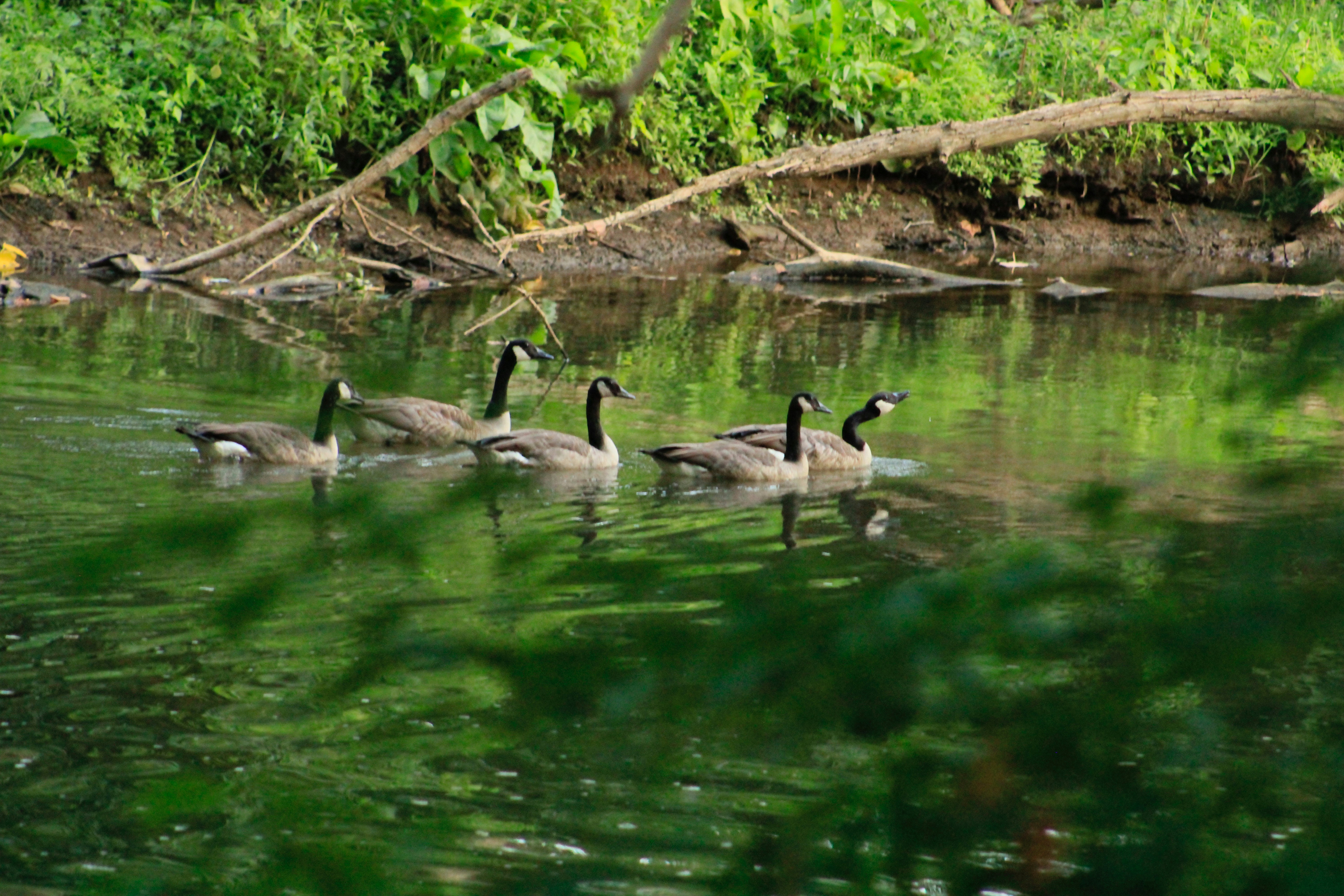 Photo by lisa_duqlaw