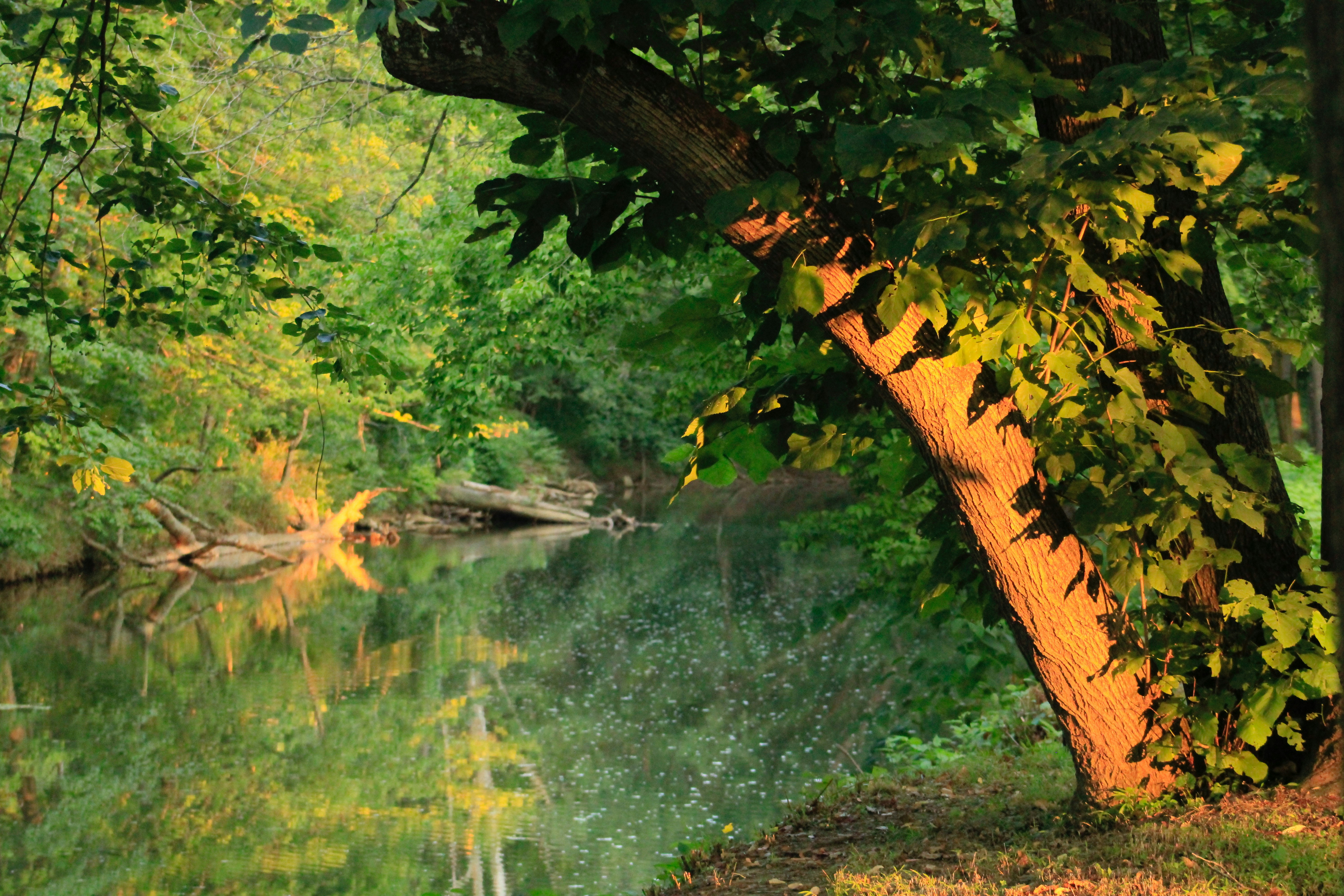 Photo by lisa_duqlaw