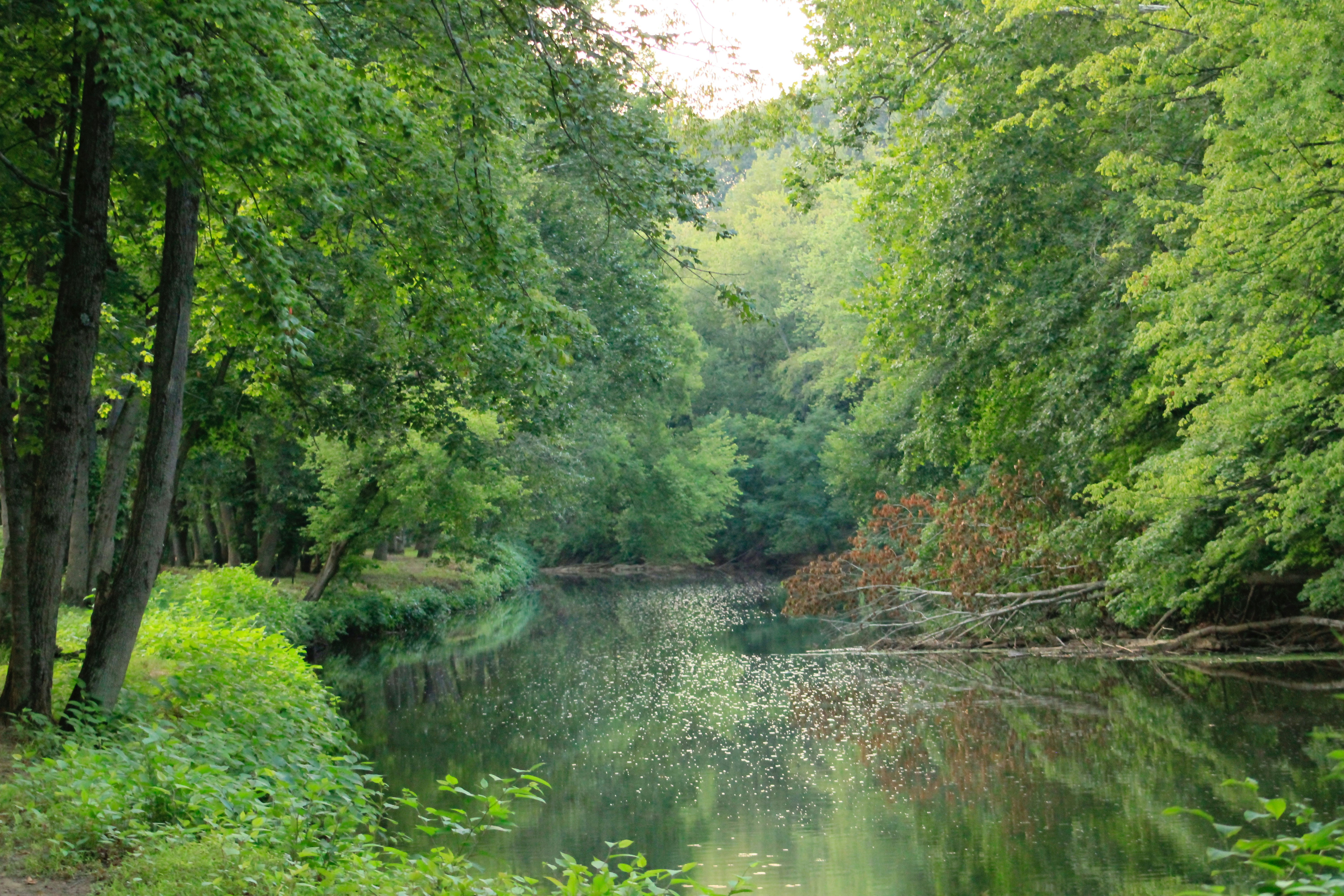 Photo by lisa_duqlaw