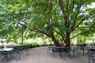 Tables and chairs under a large tree on a deck