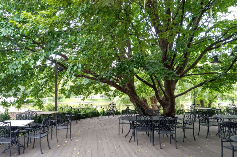 Tables and chairs under a large tree on a deck