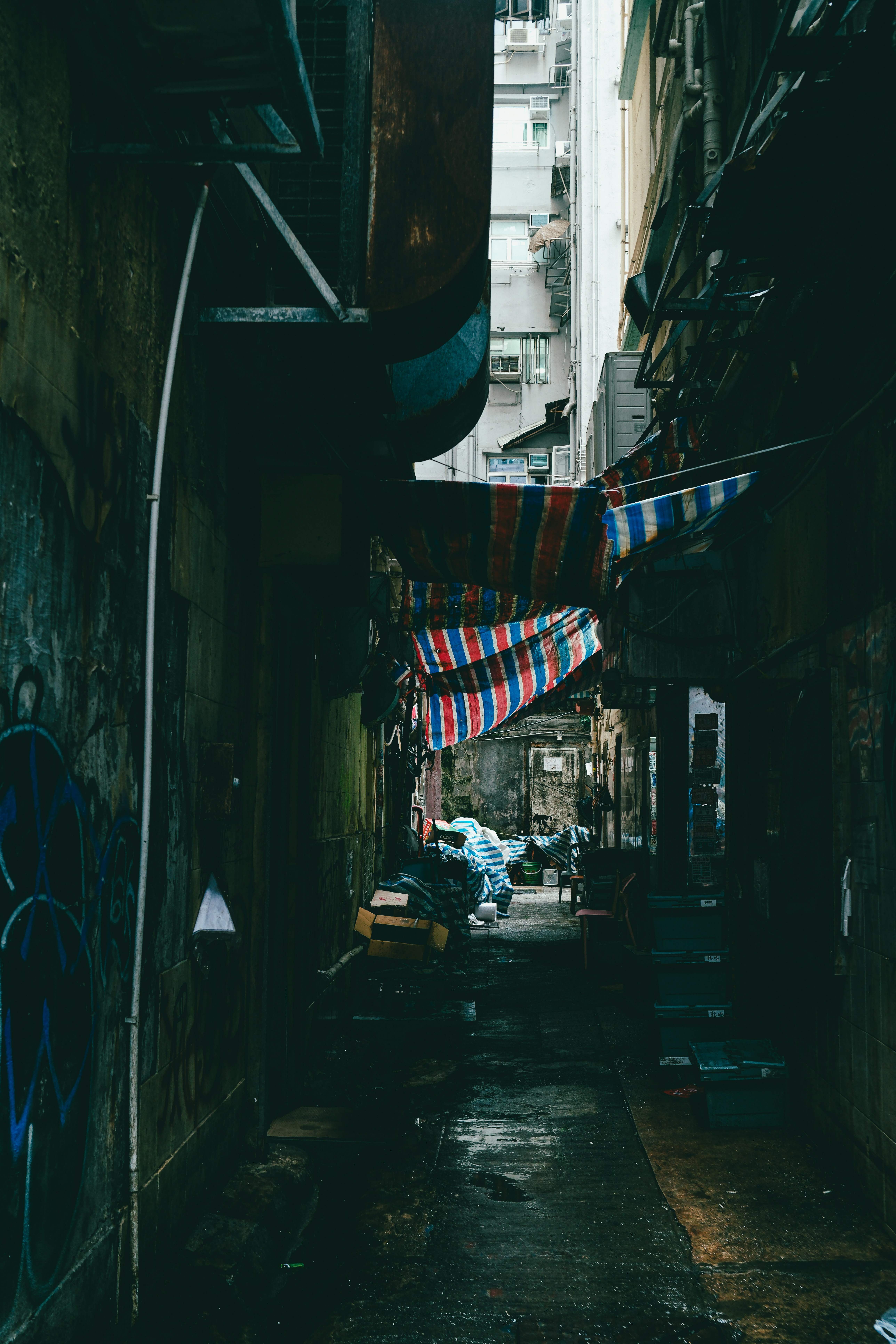 Photo by joaopratsphotography