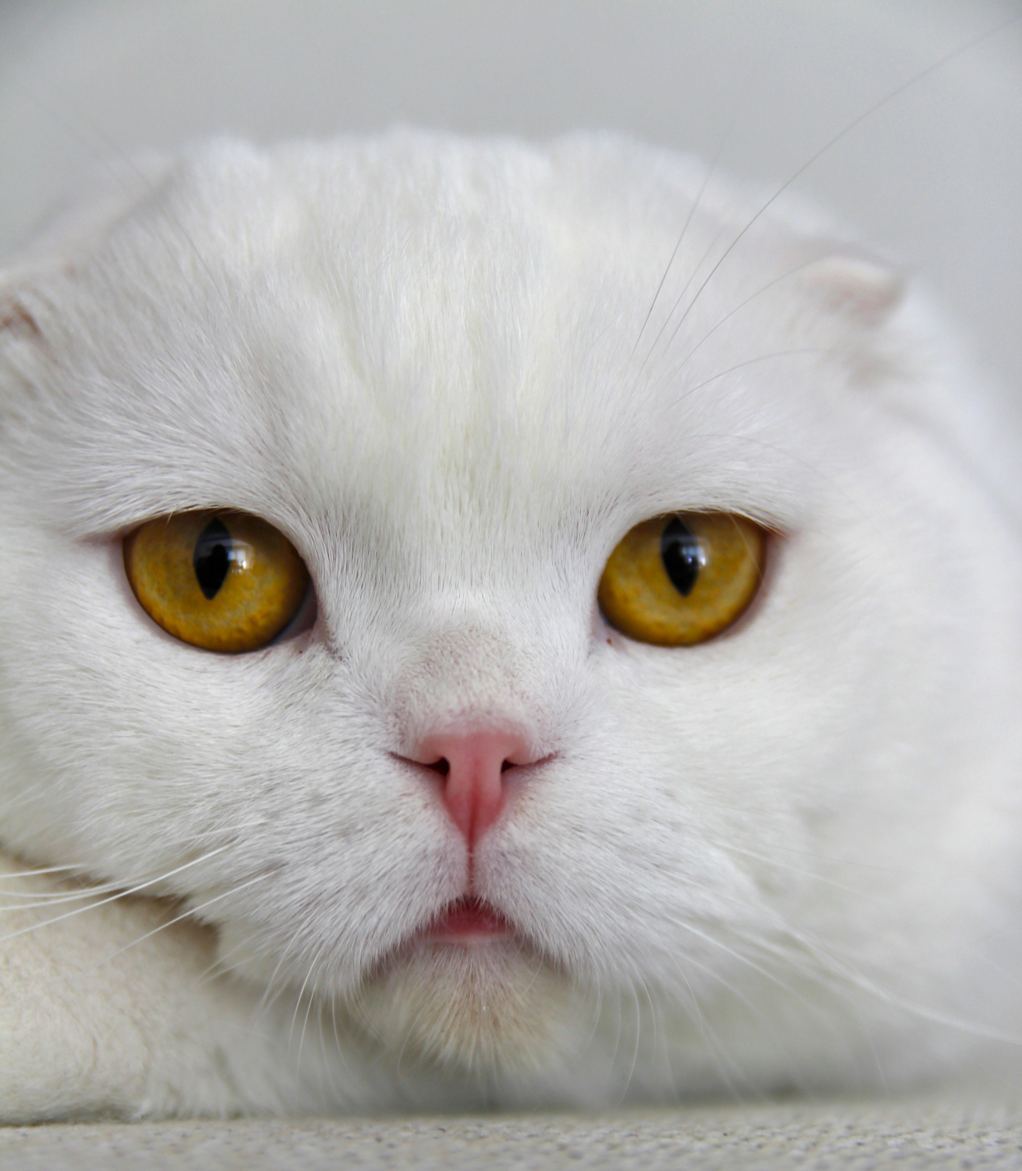 Photo by egemensahiin