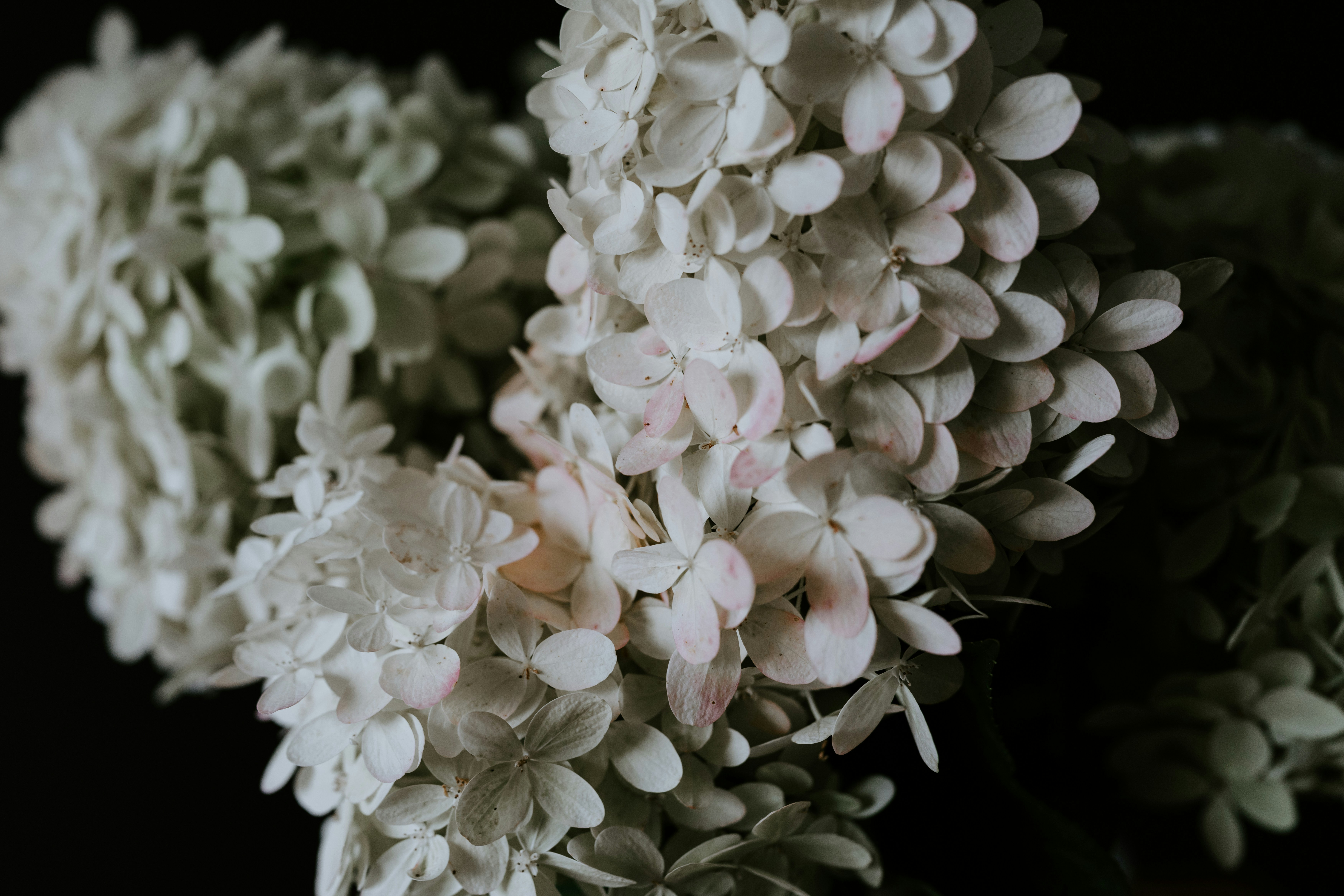 Photo by kellysikkema