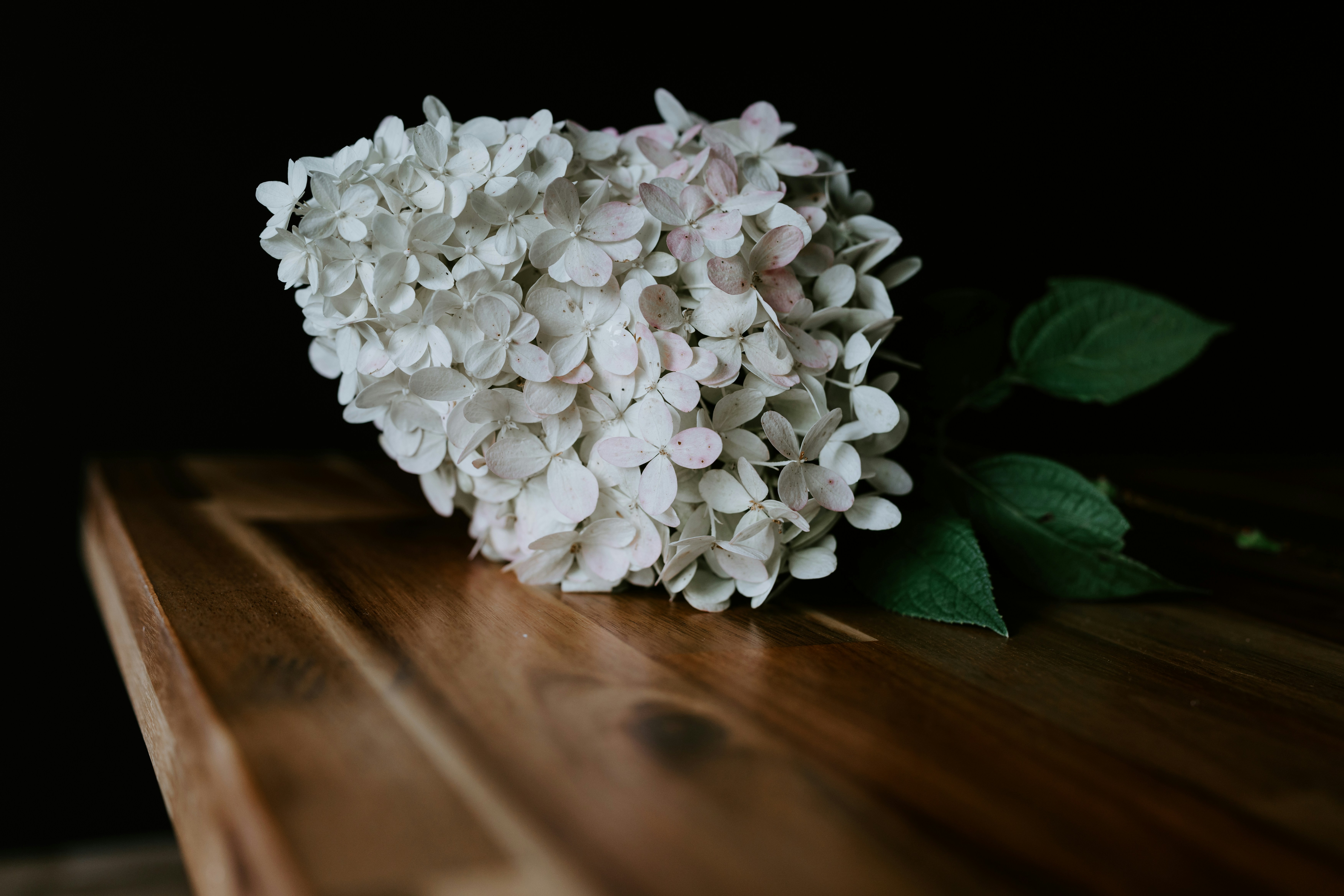 Photo by kellysikkema