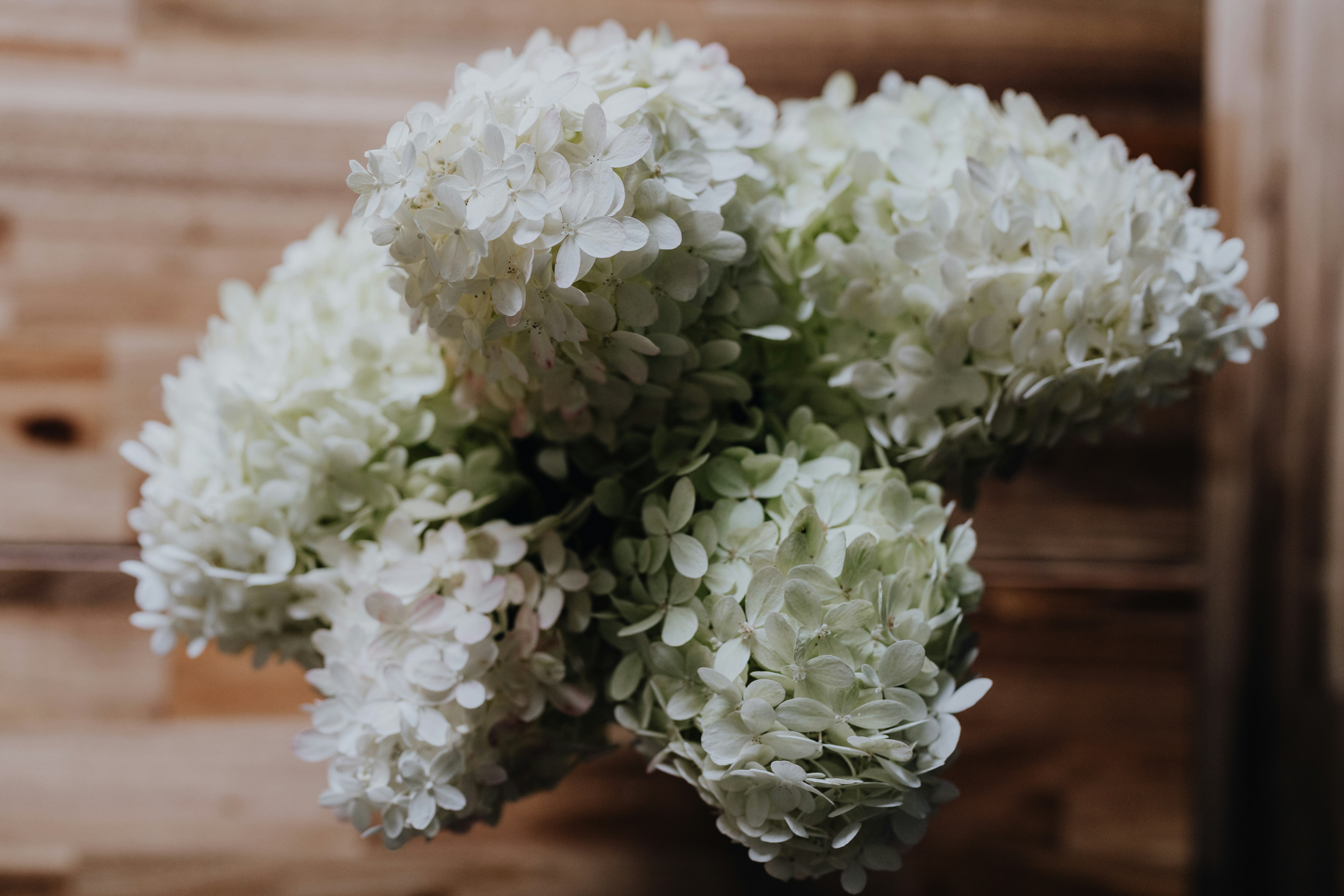 Photo by kellysikkema