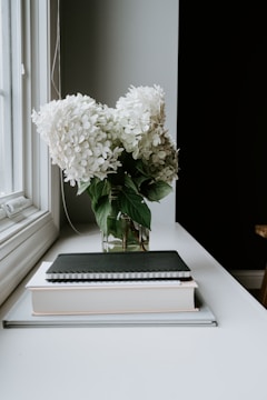 A vase filled with white flowers sitting on top of a table