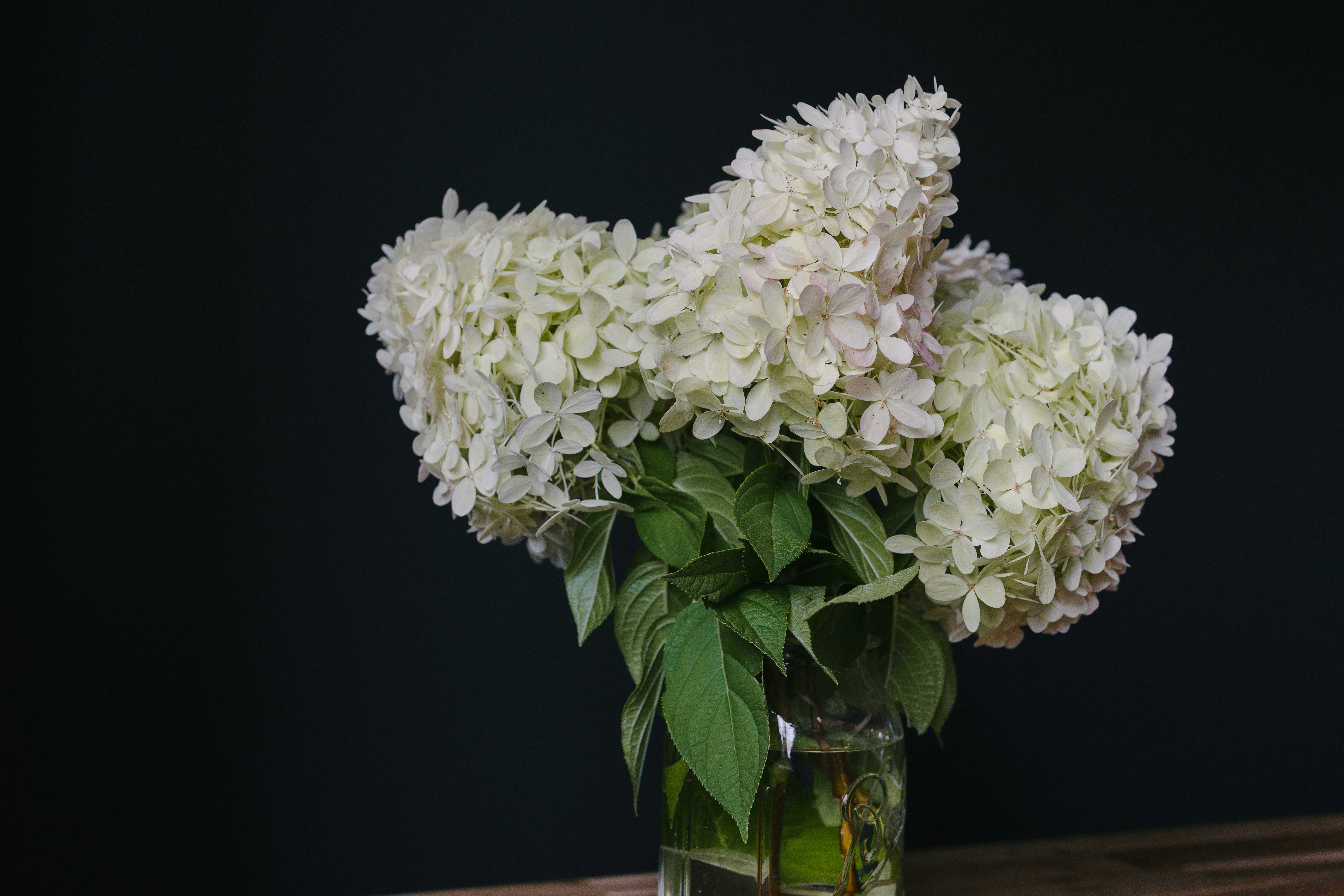 Photo by kellysikkema