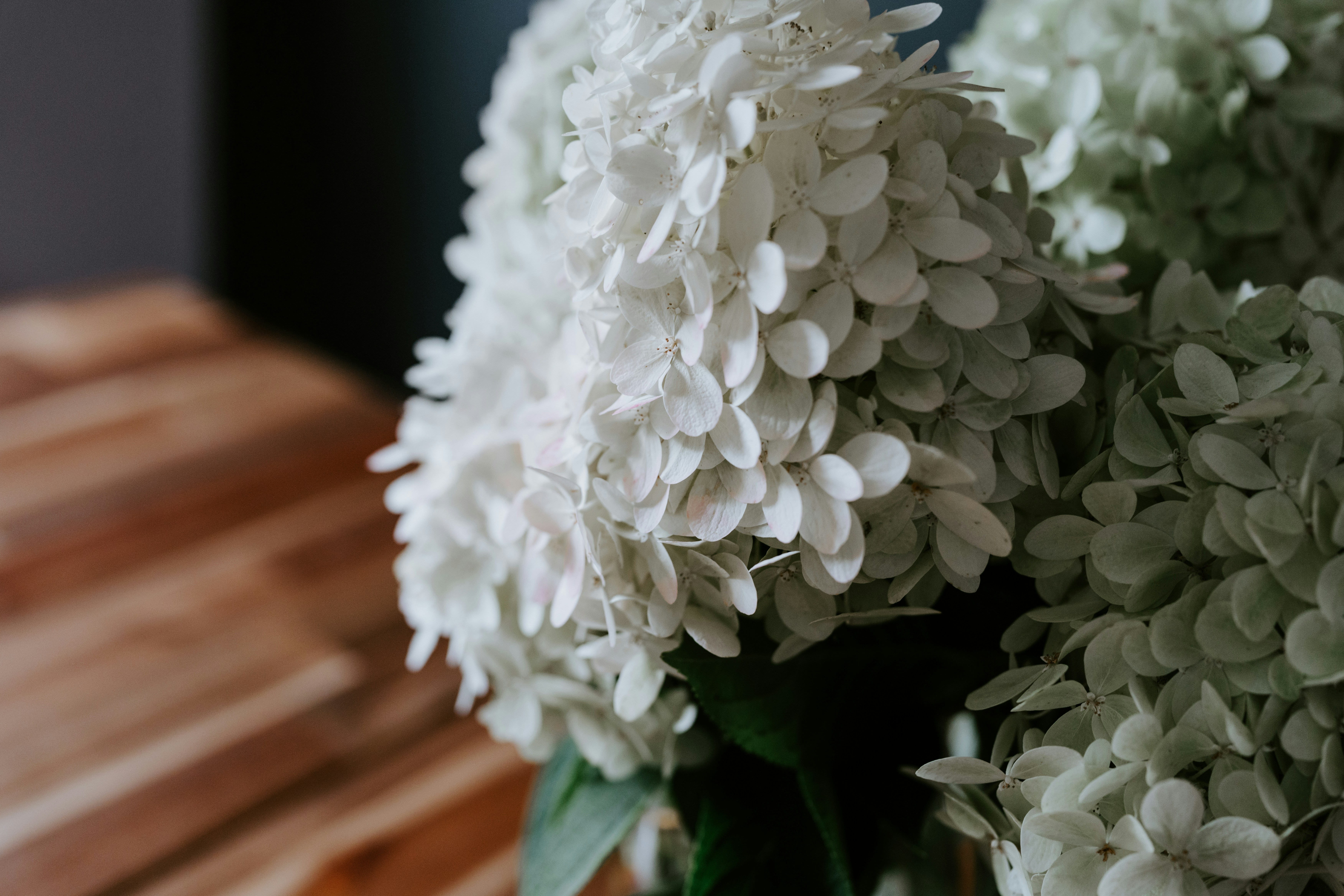 Photo by kellysikkema