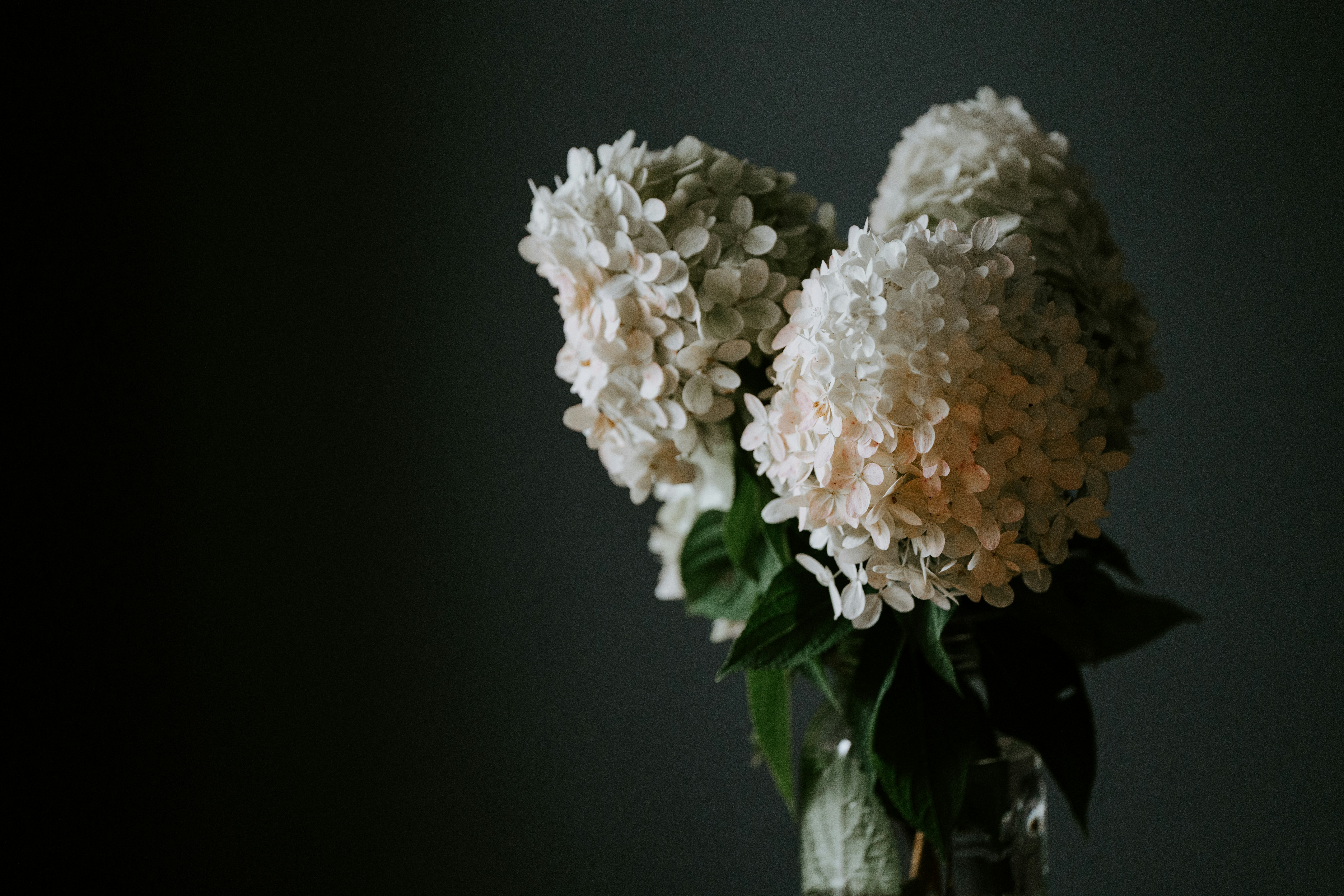 태아보험이 필요한 이유는 뭔가요?