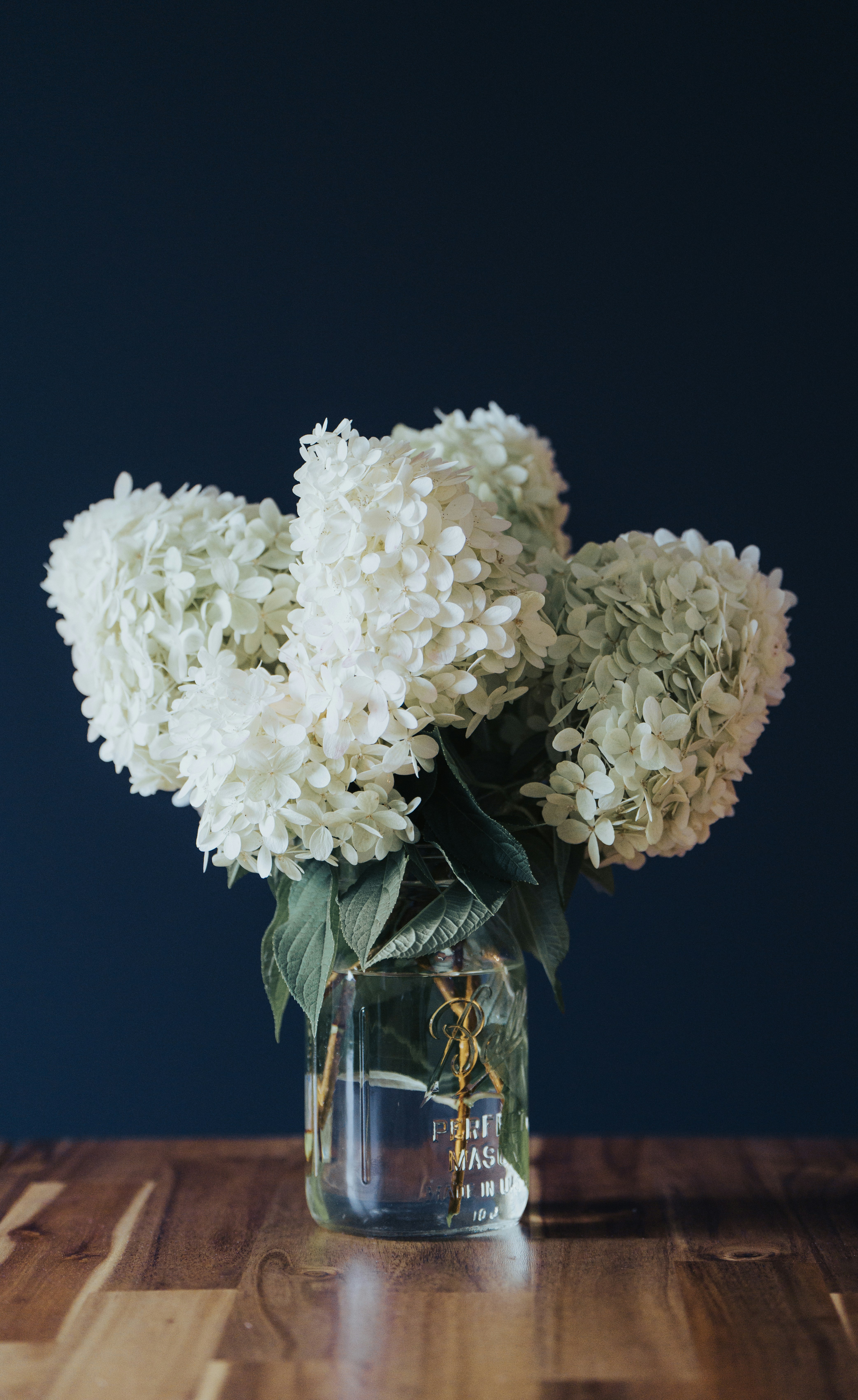 Photo by kellysikkema