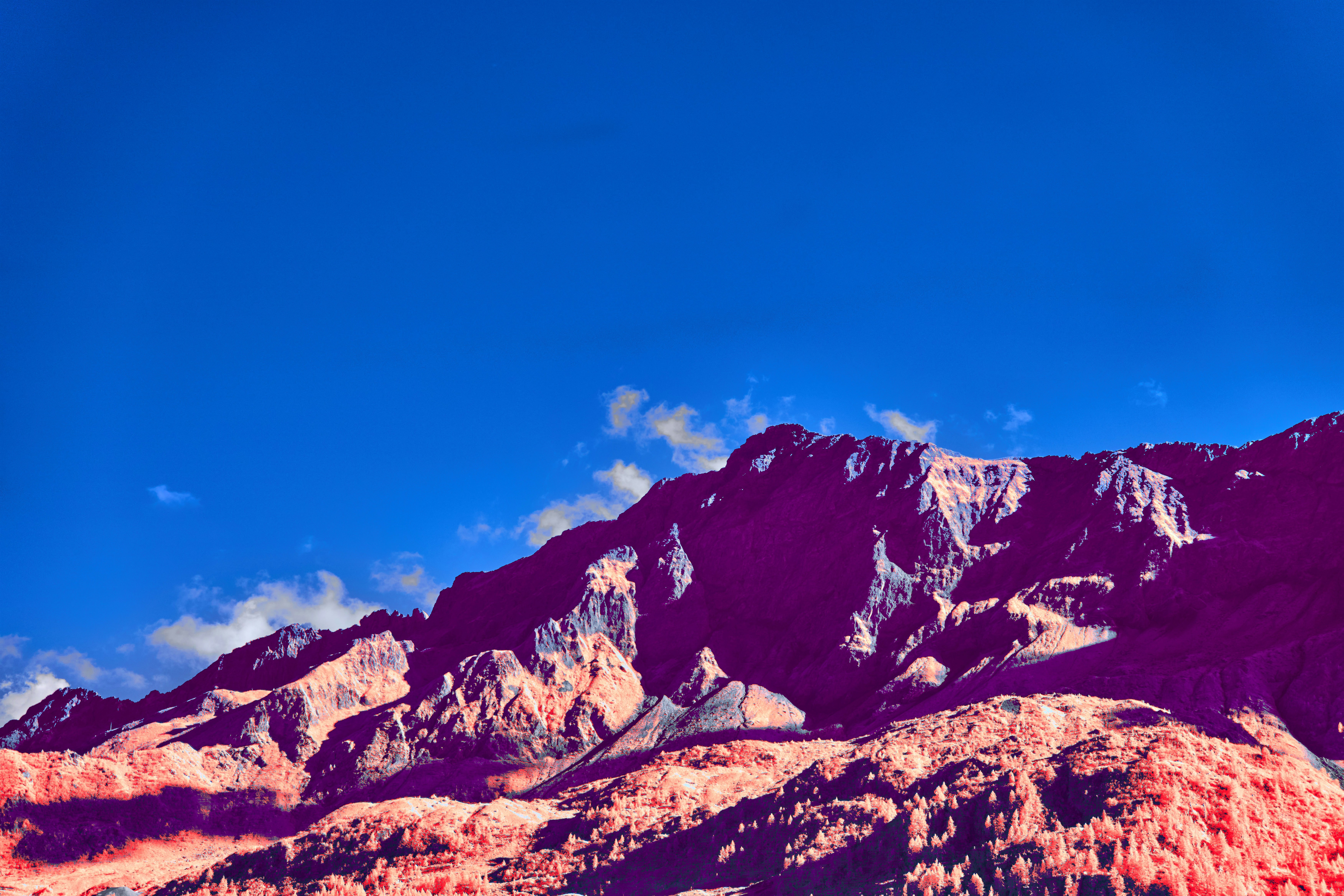 Photo by wolfgang_hasselmann