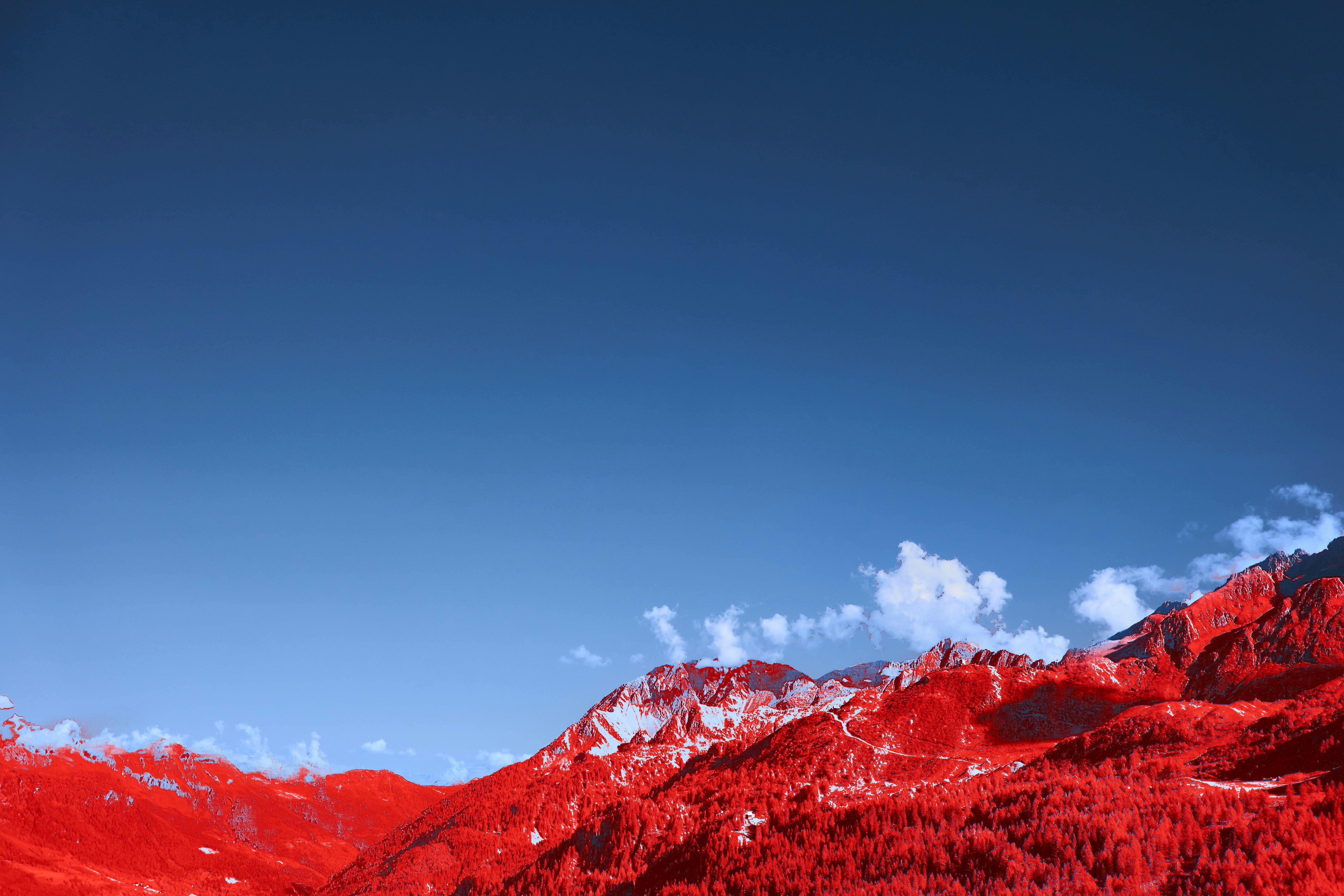 Photo by wolfgang_hasselmann