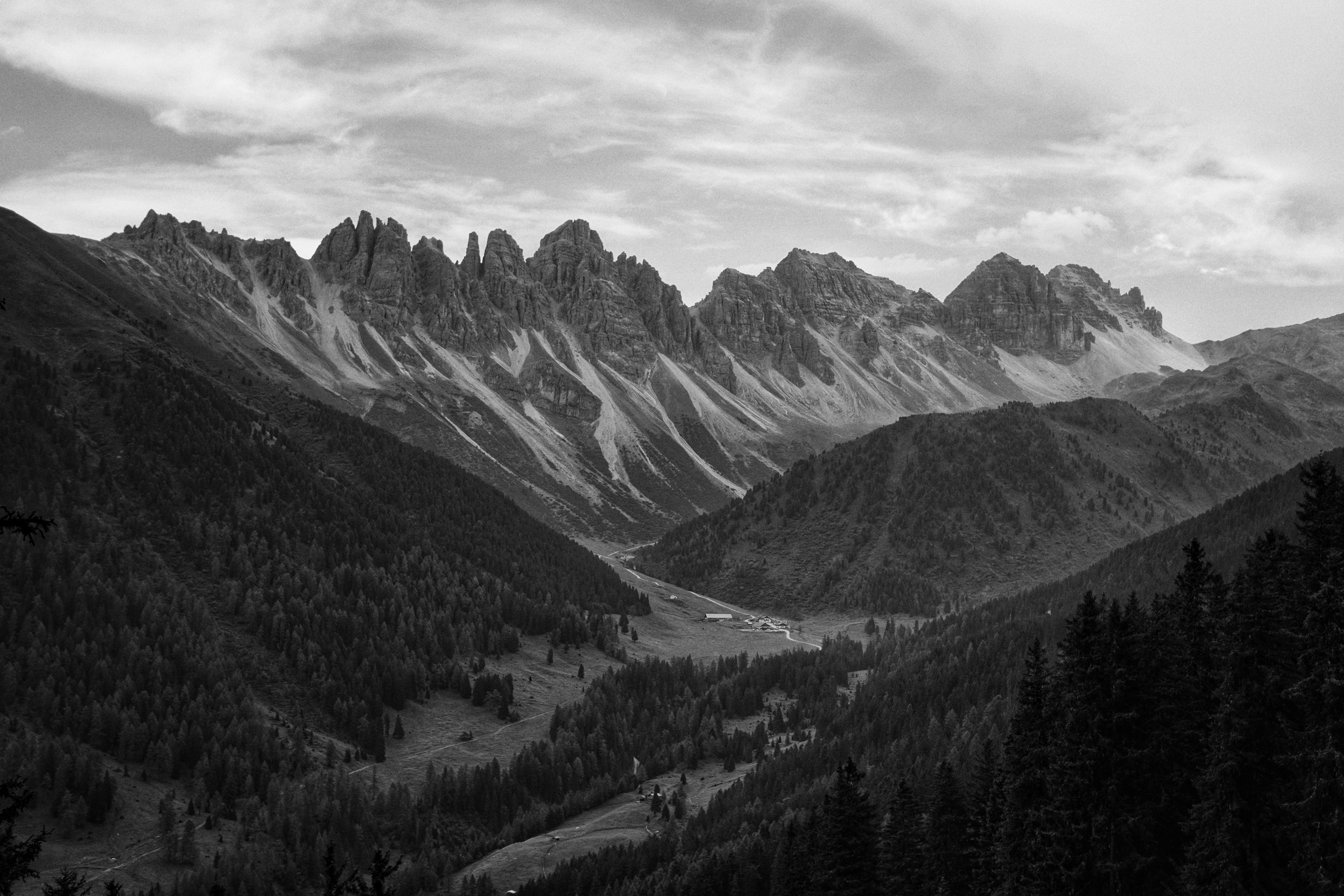 Photo by kohleggermichael