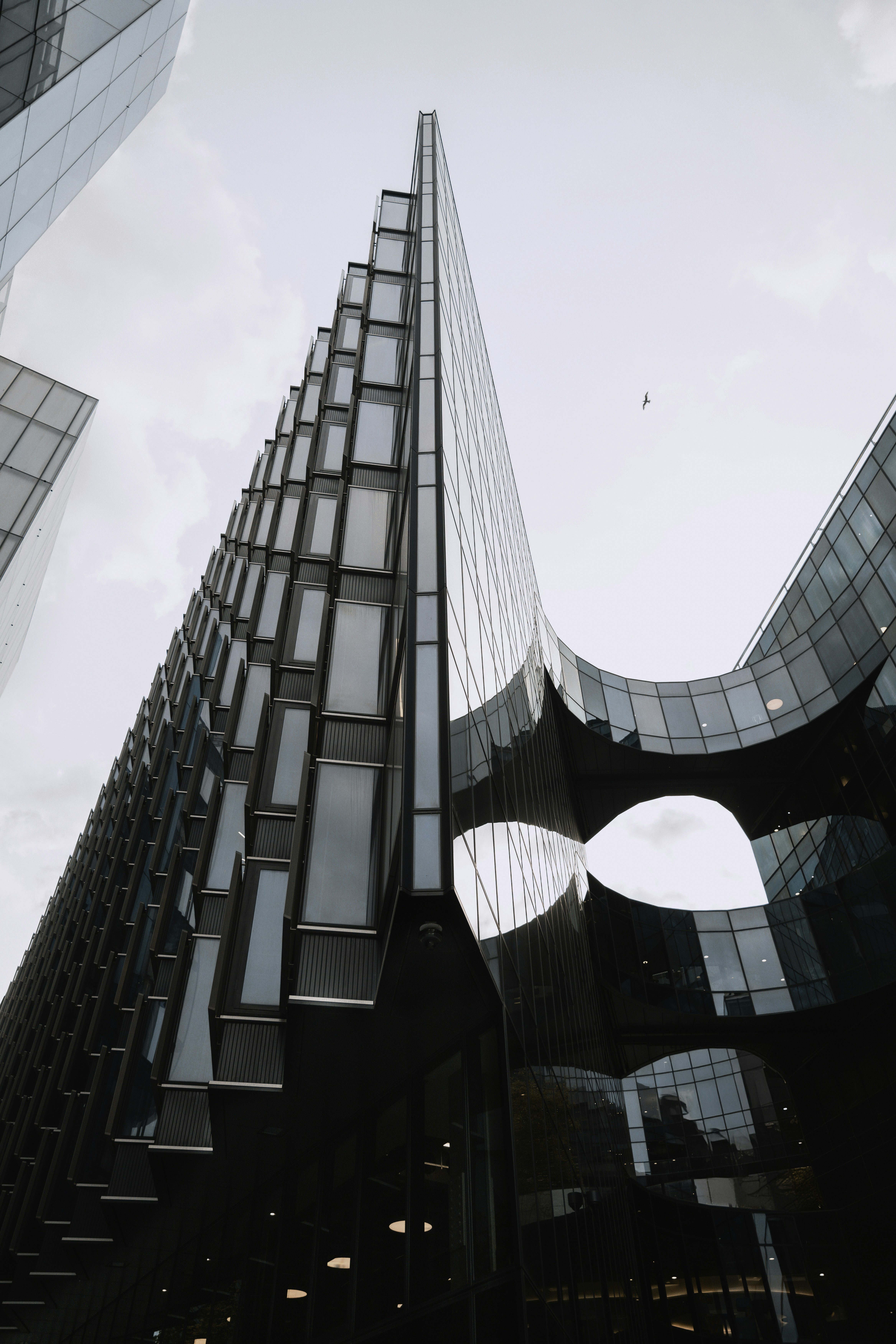 Photo by santesson89