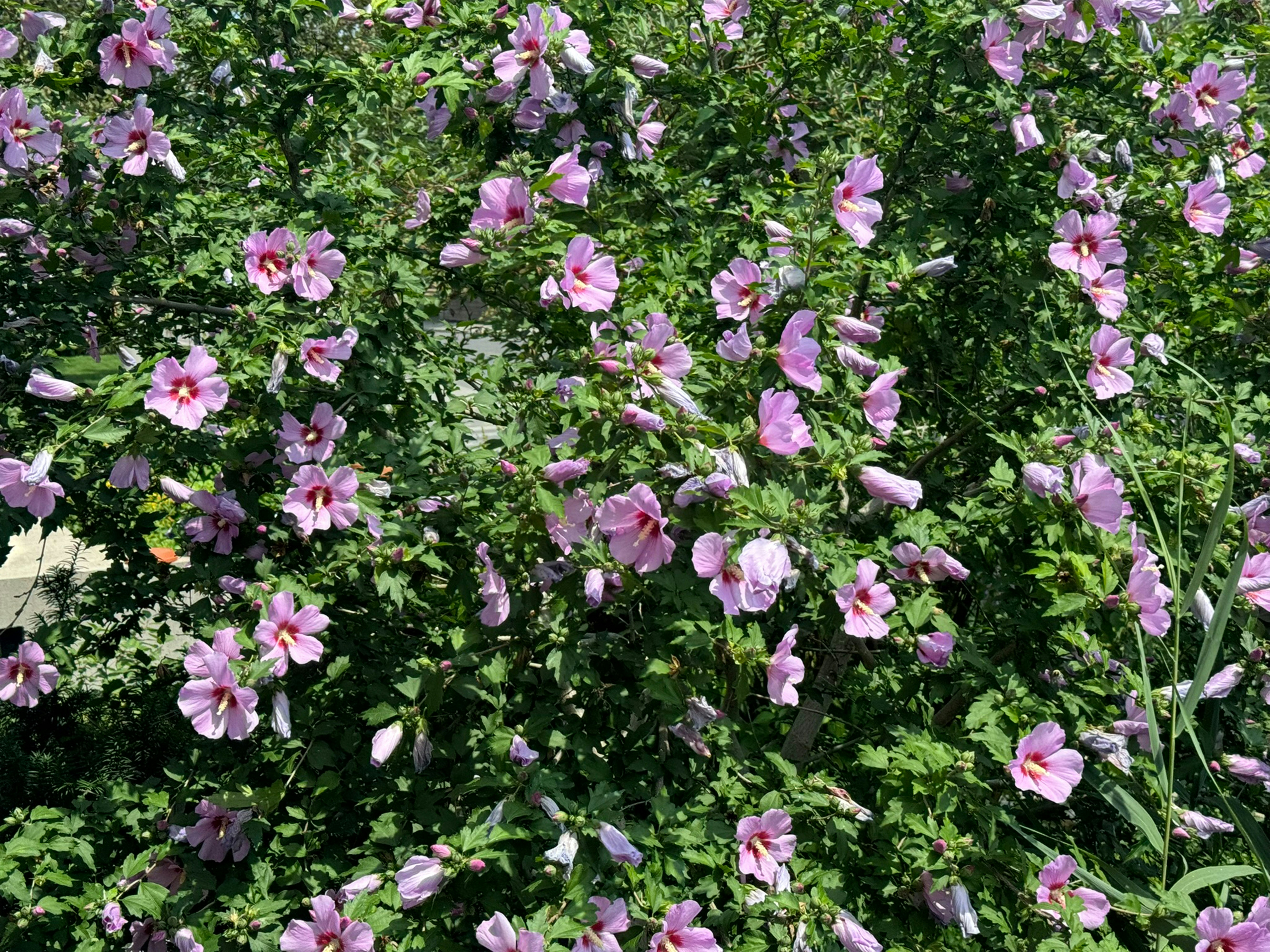 Photo by productivitygarden