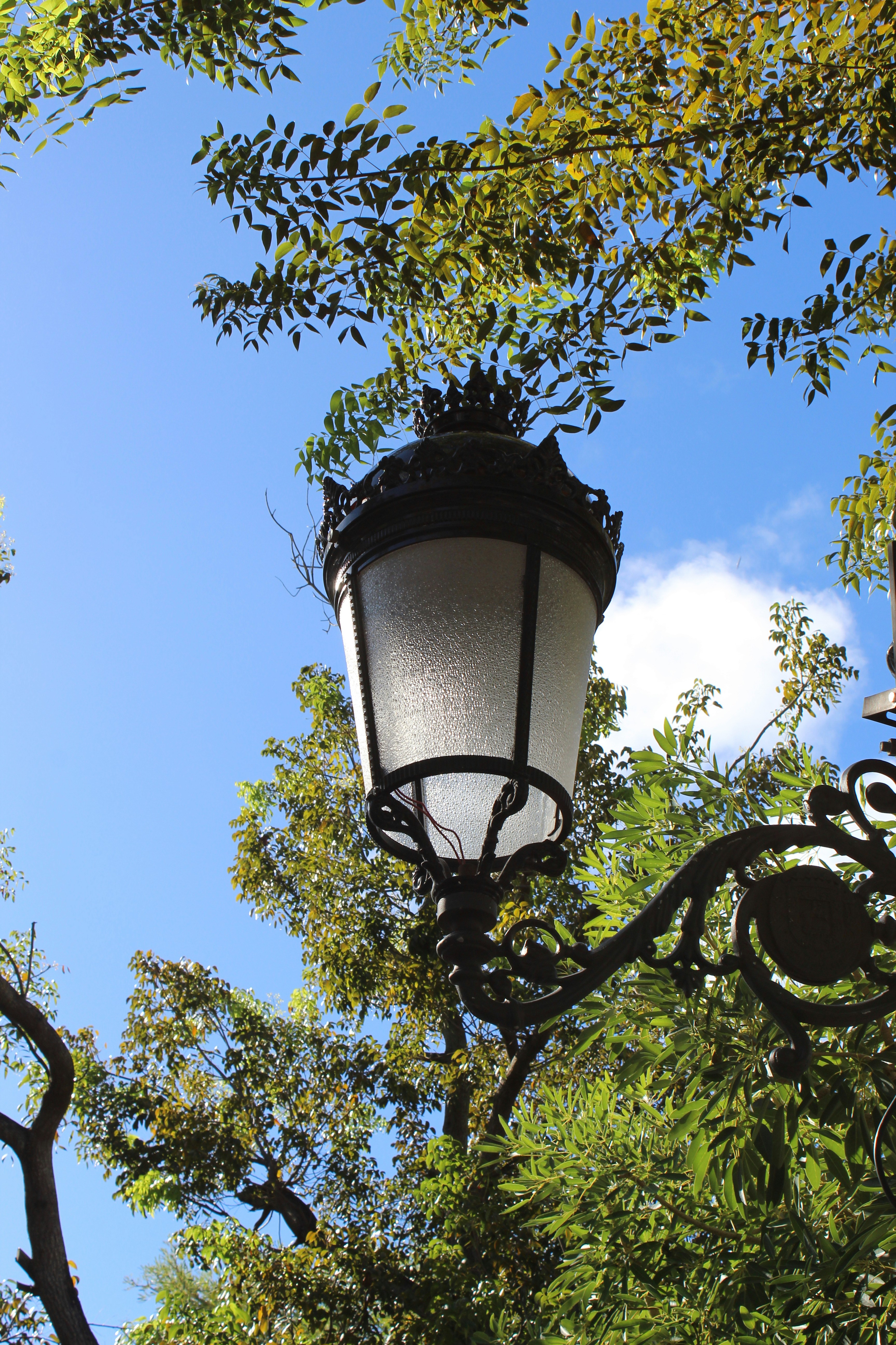 Photo by loaizaperez