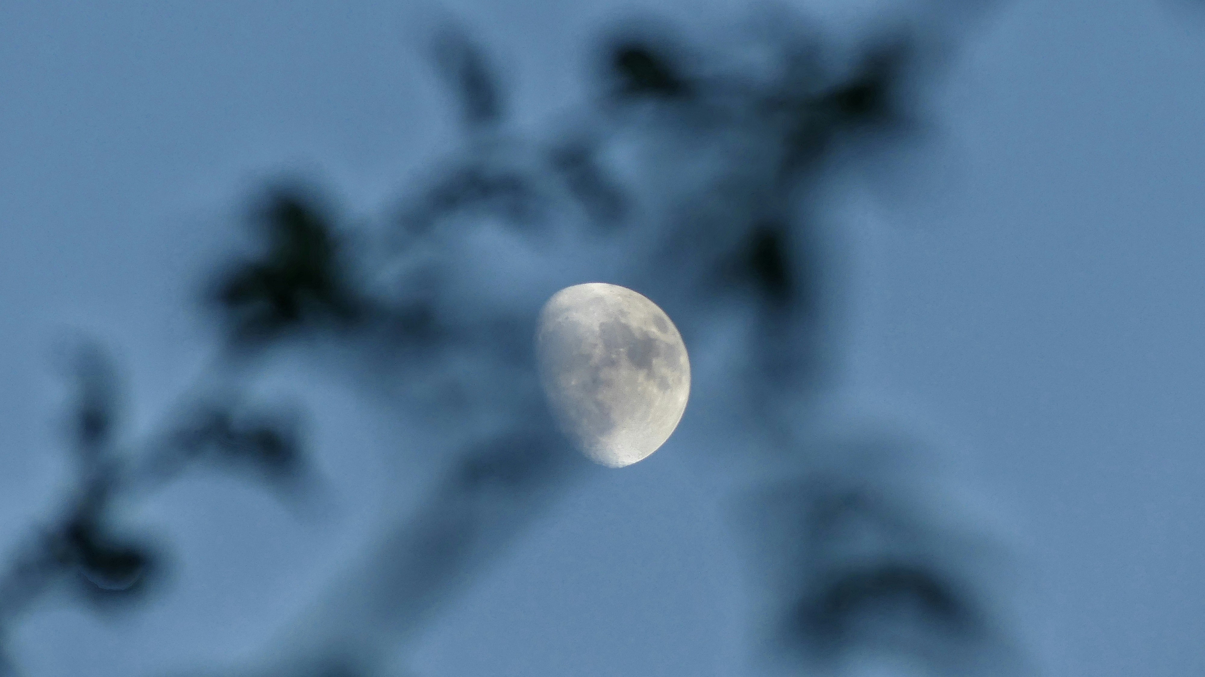 A blurry photo of the moon in the sky
