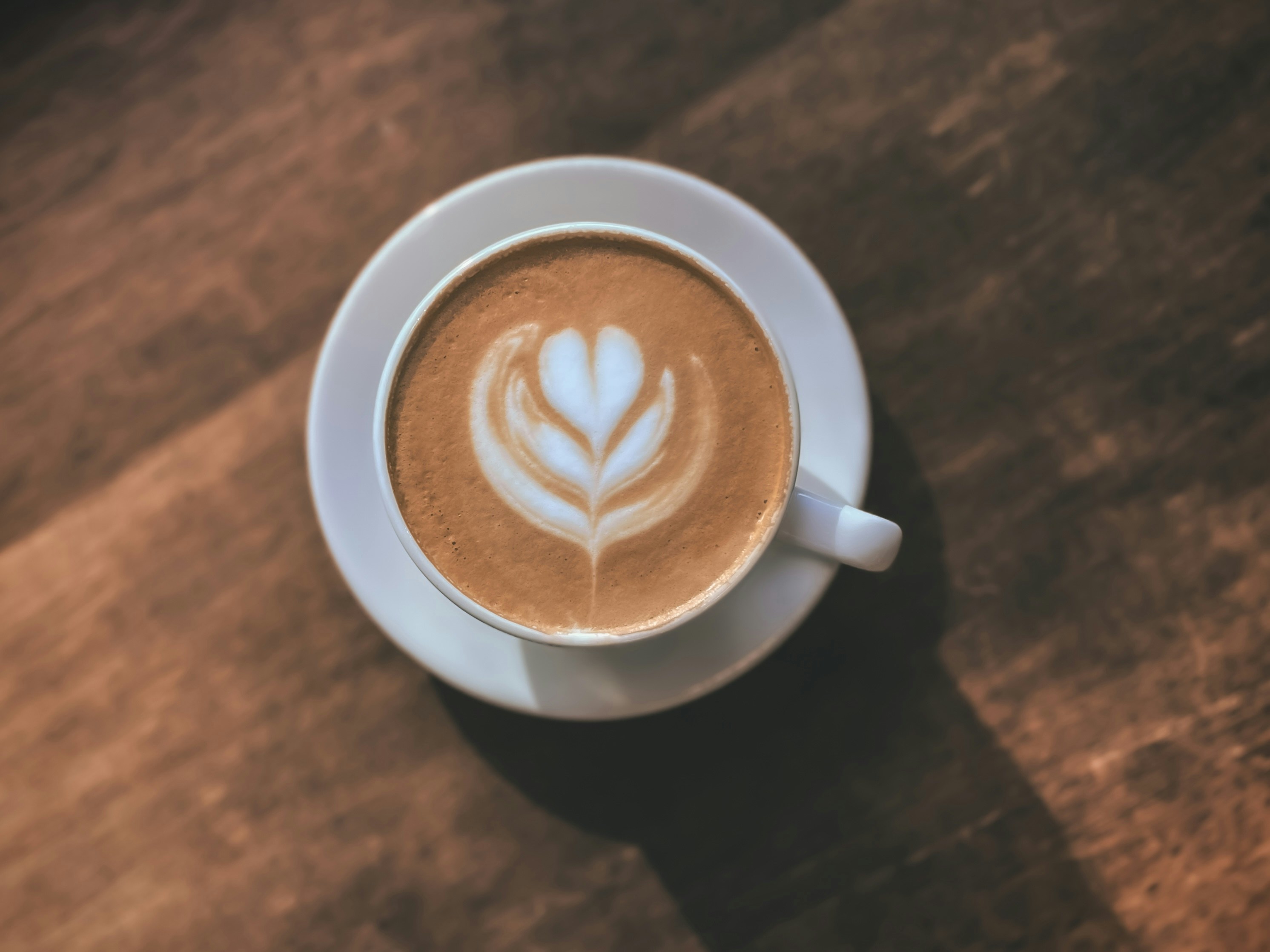 Photo by unidentifieduser