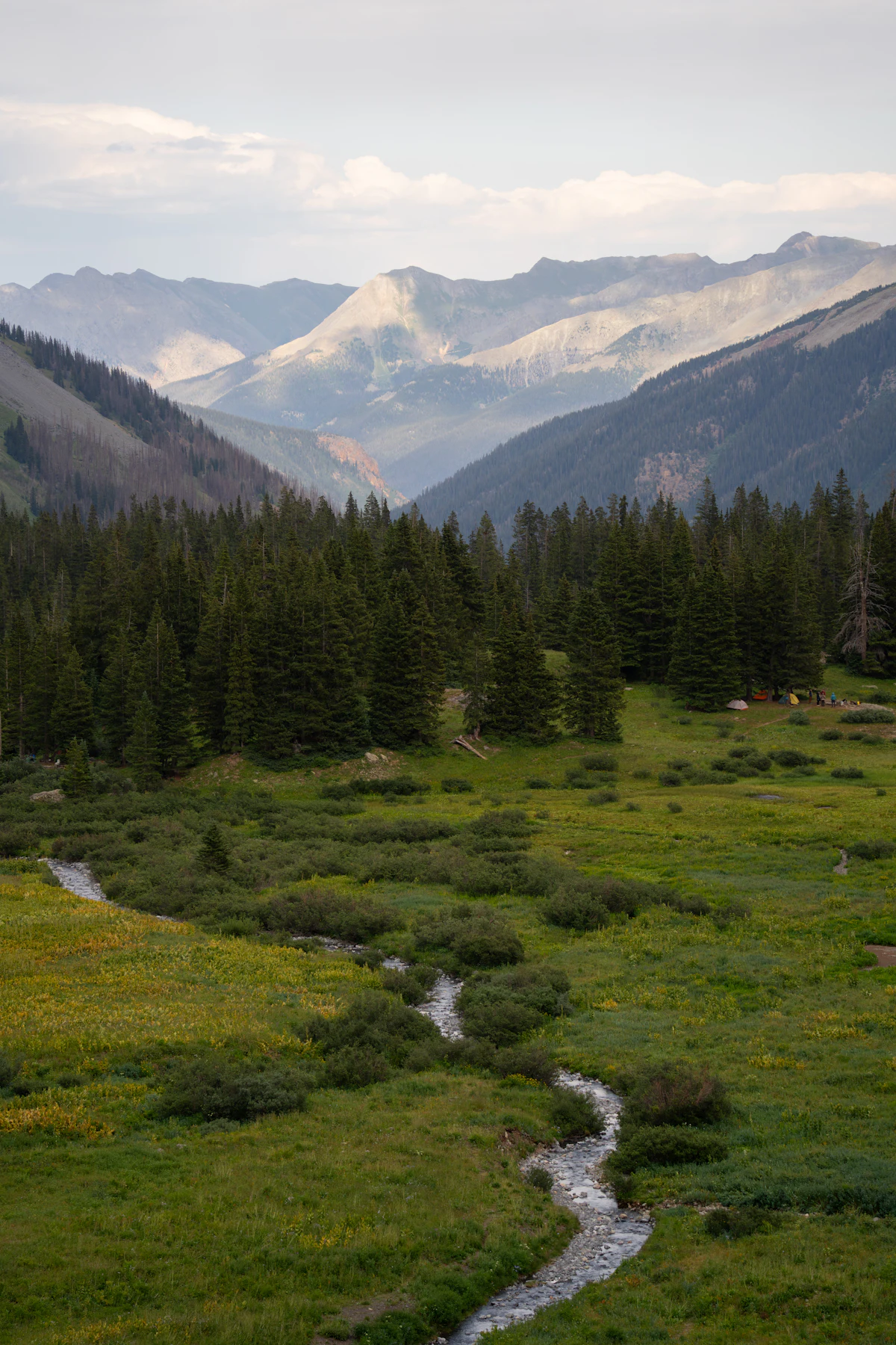A creek winding through a meadow below forested slopes in the San Juan National Forest