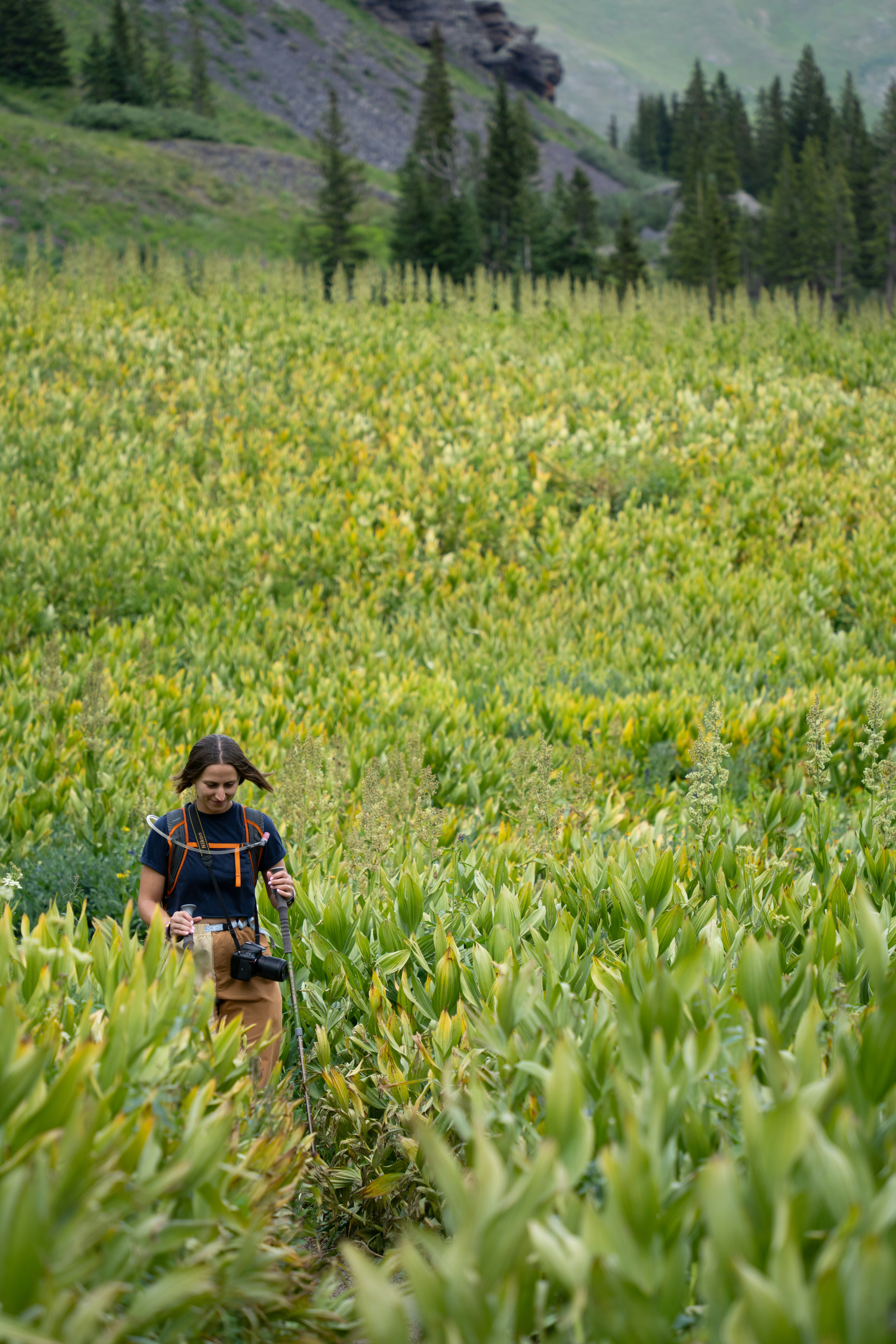 A man walking through a lush green field
