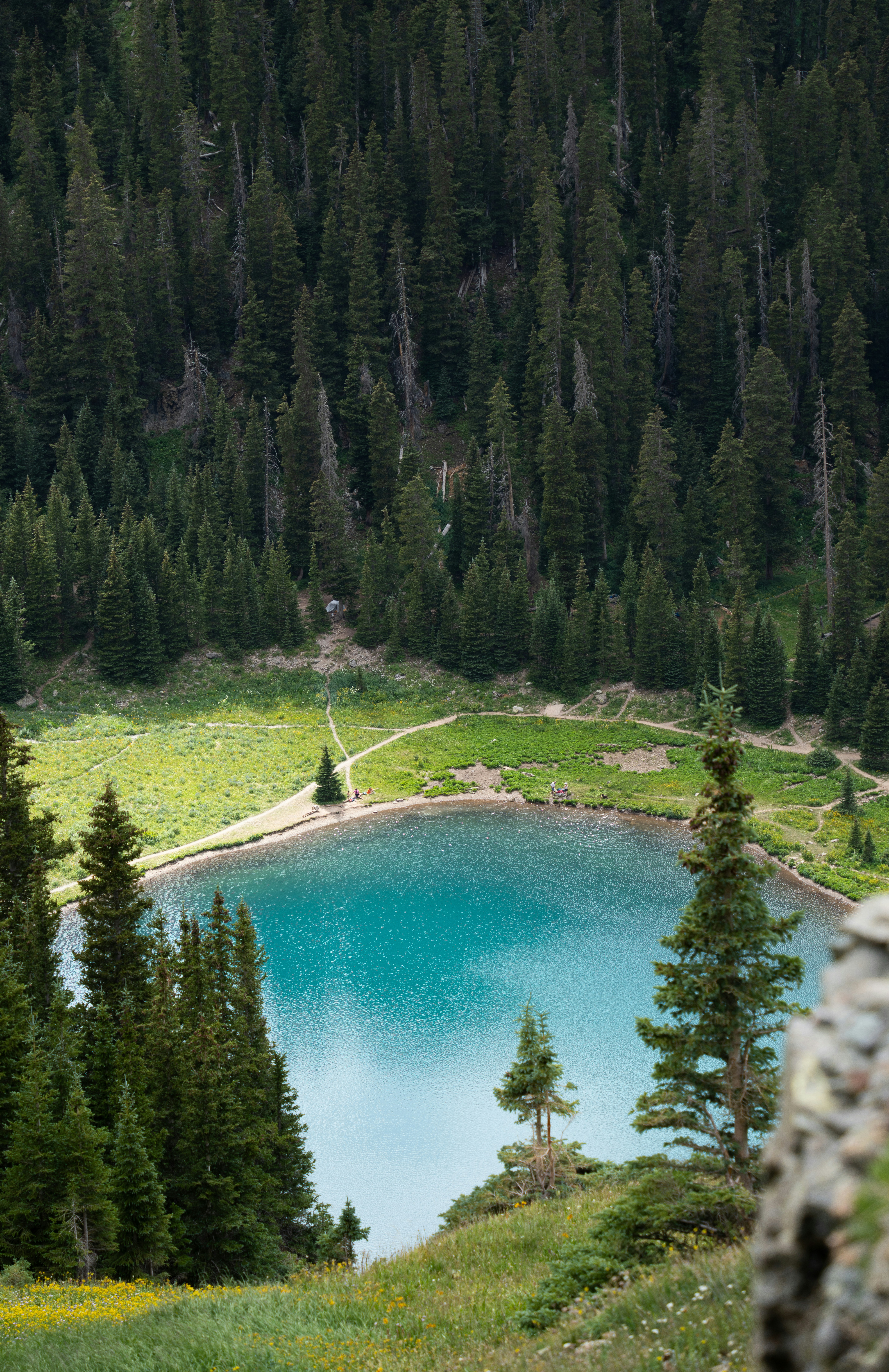 Photo by alexmoliski