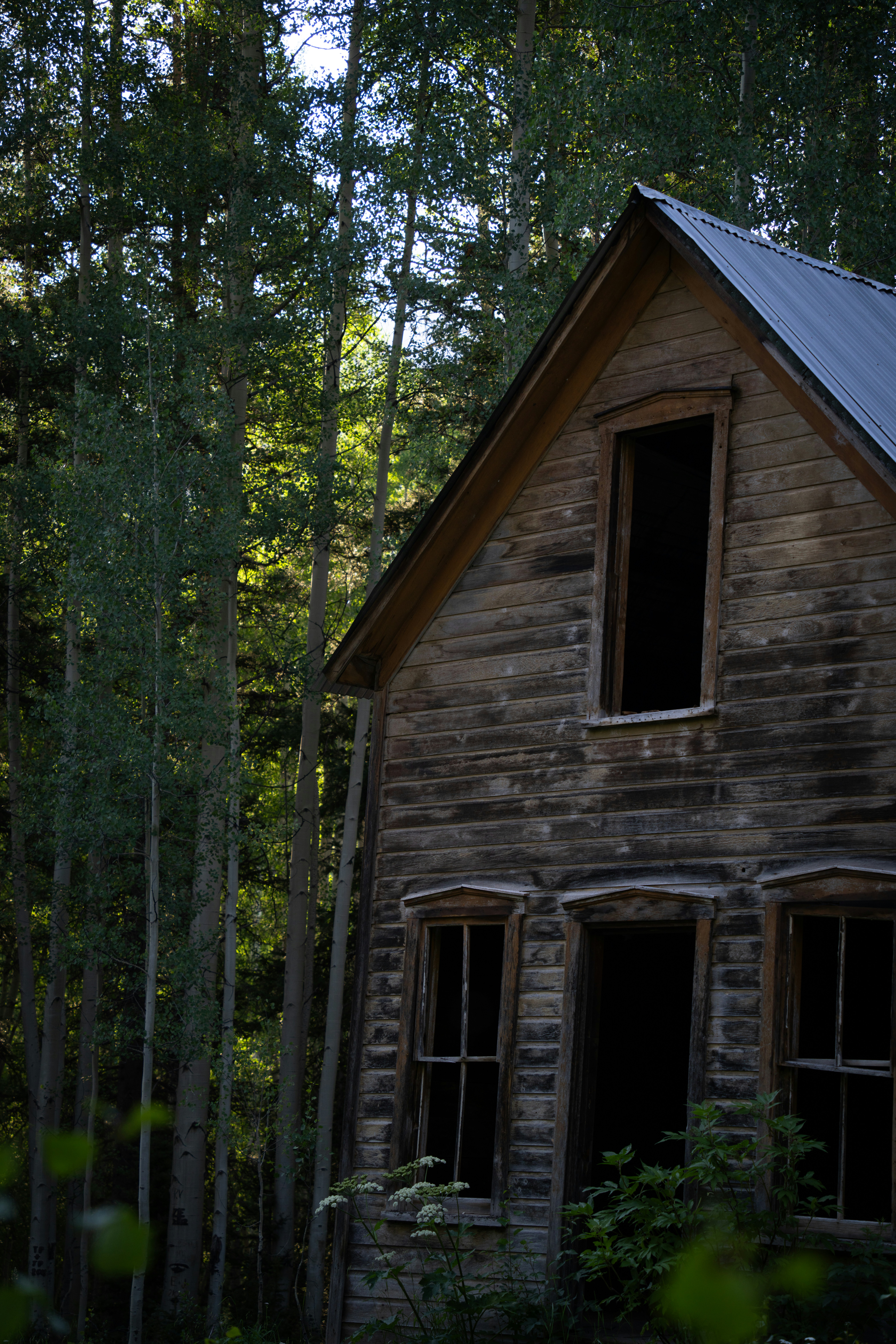 Photo by alexmoliski