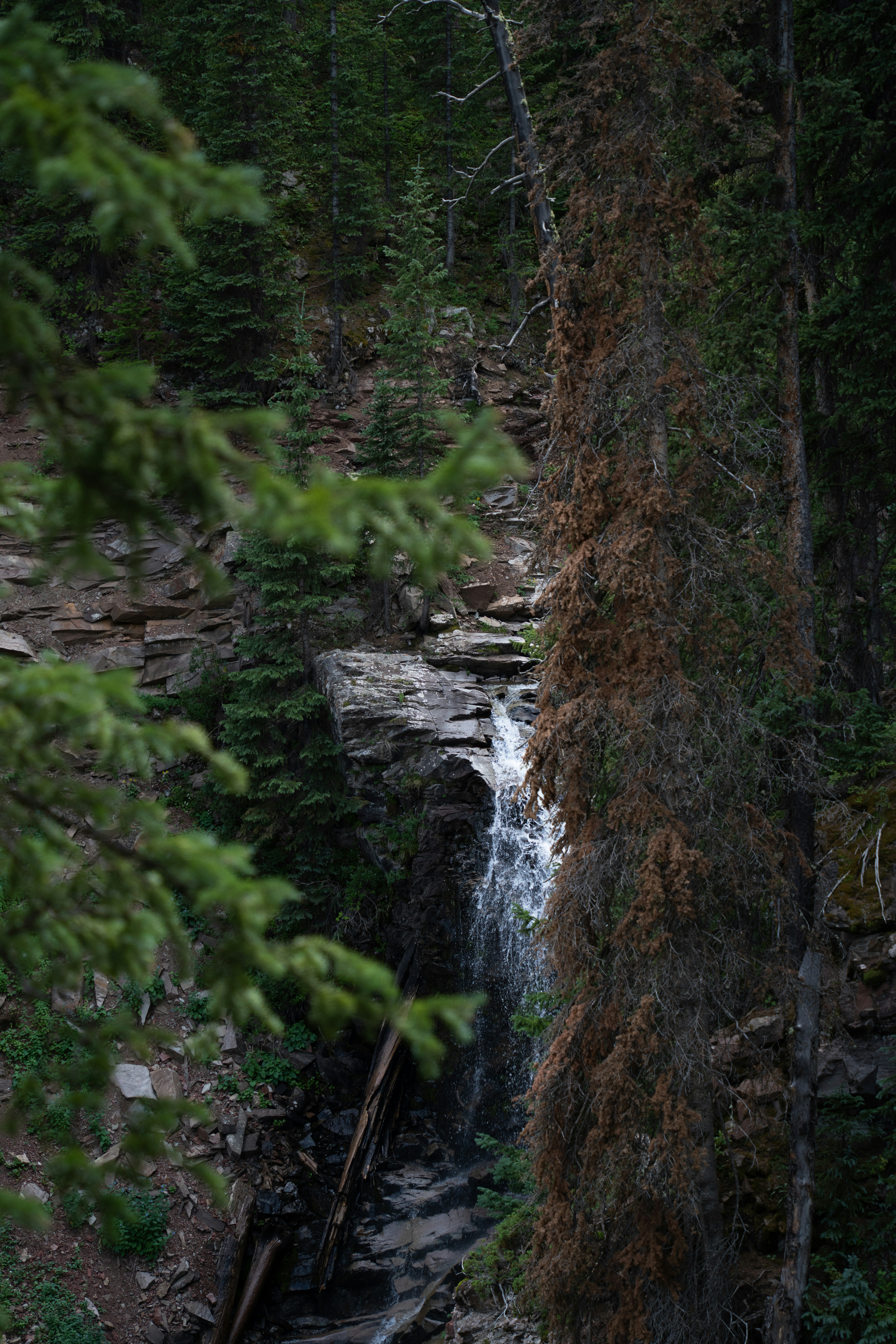 Photo by alexmoliski