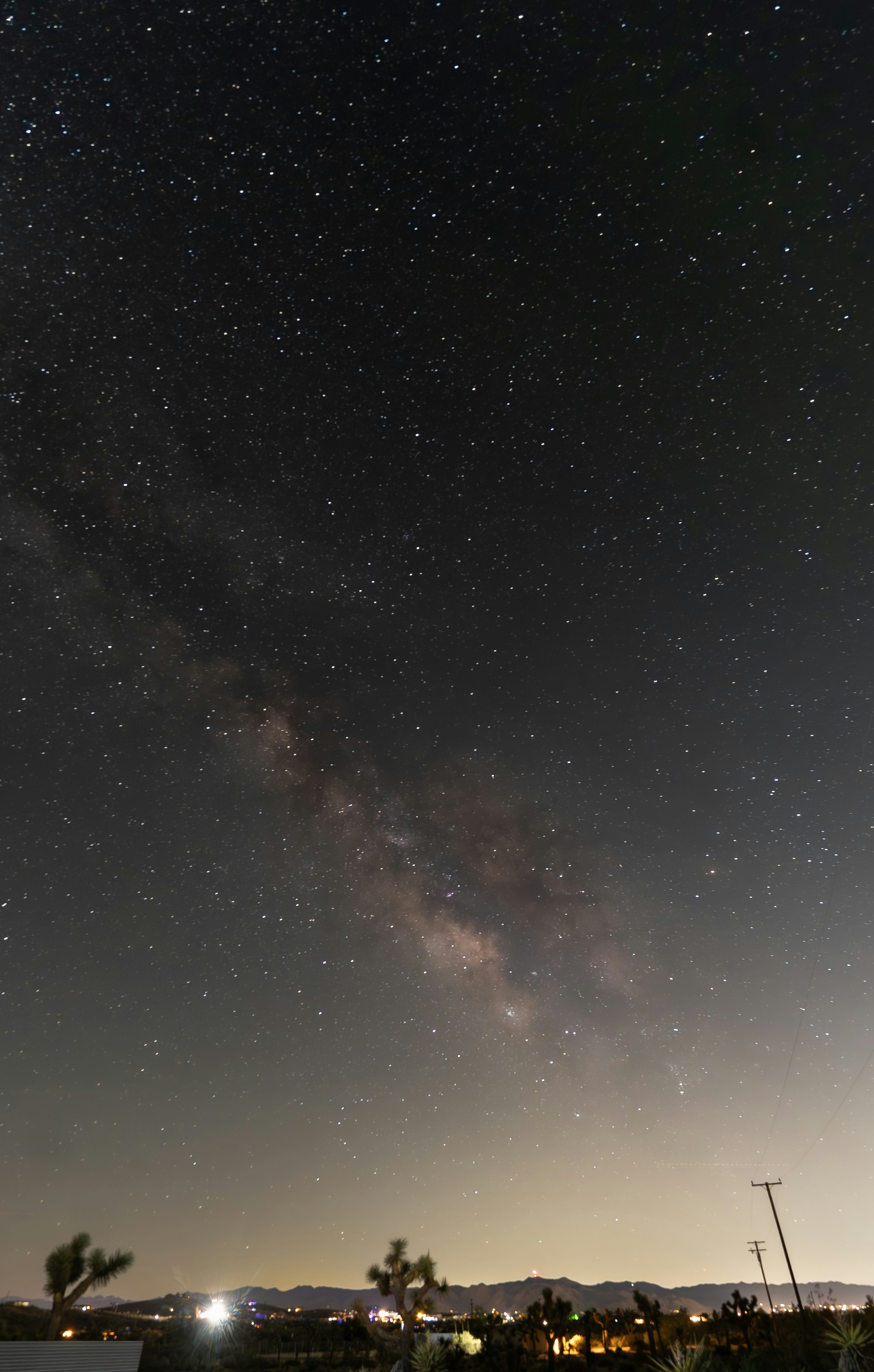 The night sky is filled with stars and a lot of trees