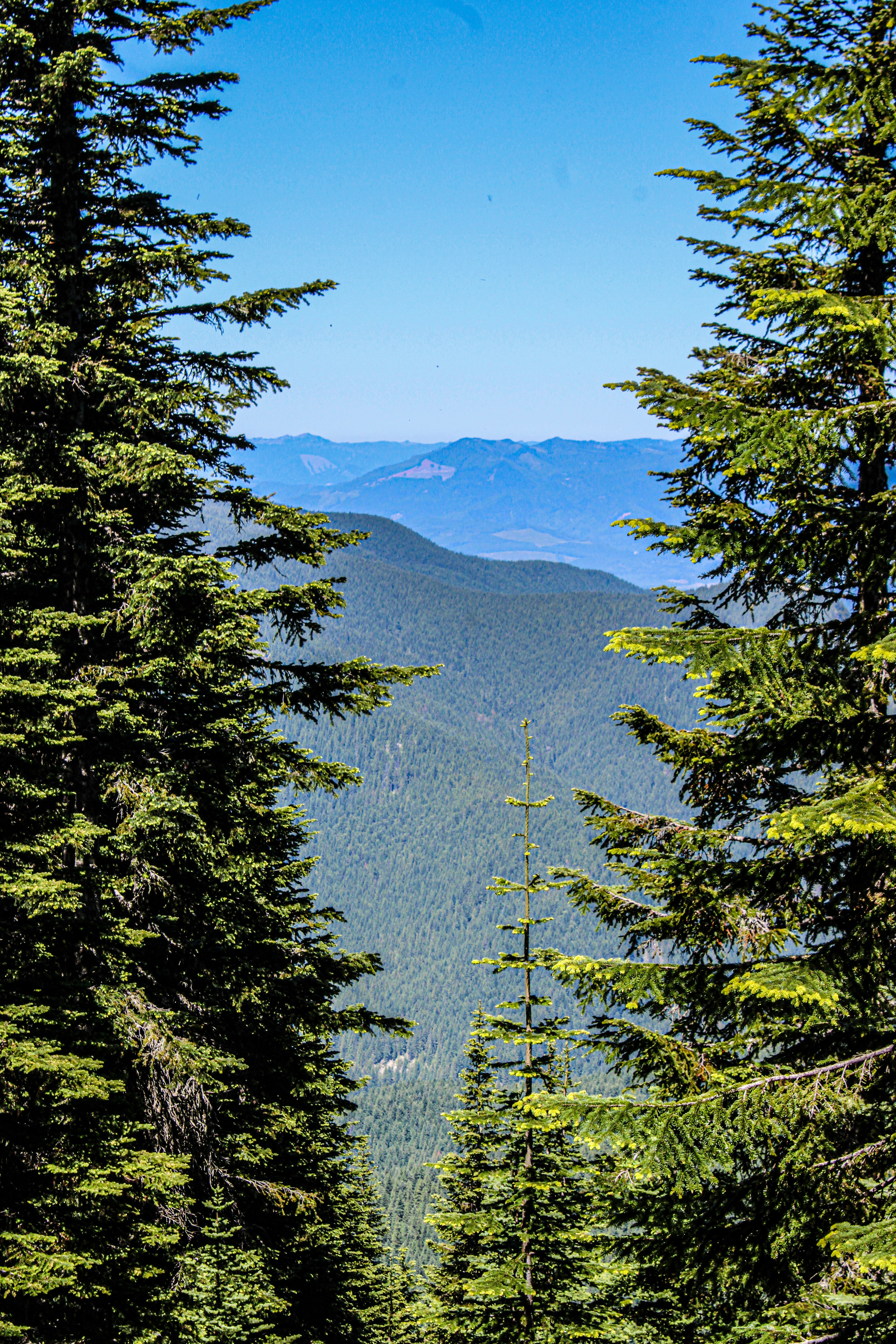 Photo by prphotography262