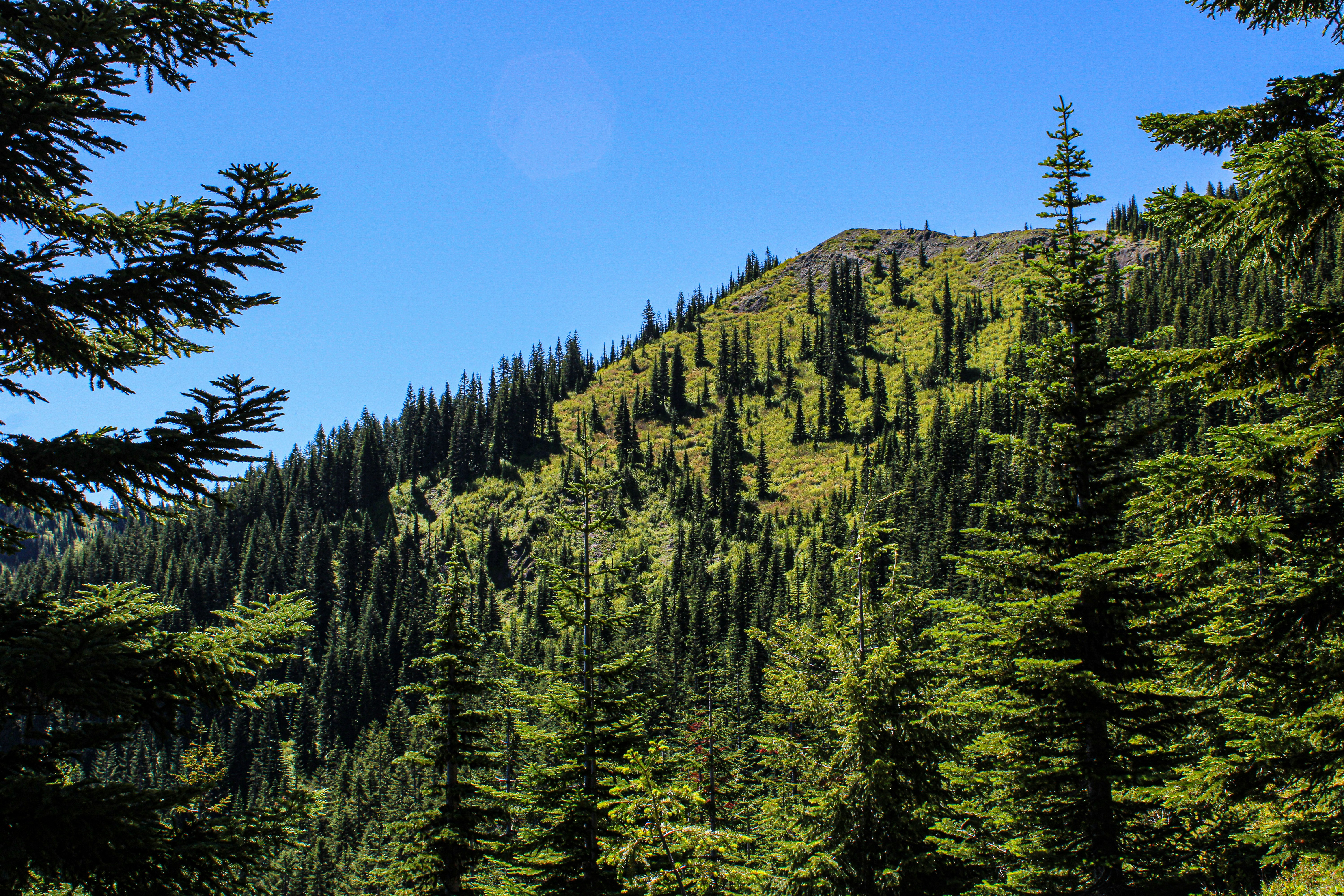 Photo by prphotography262