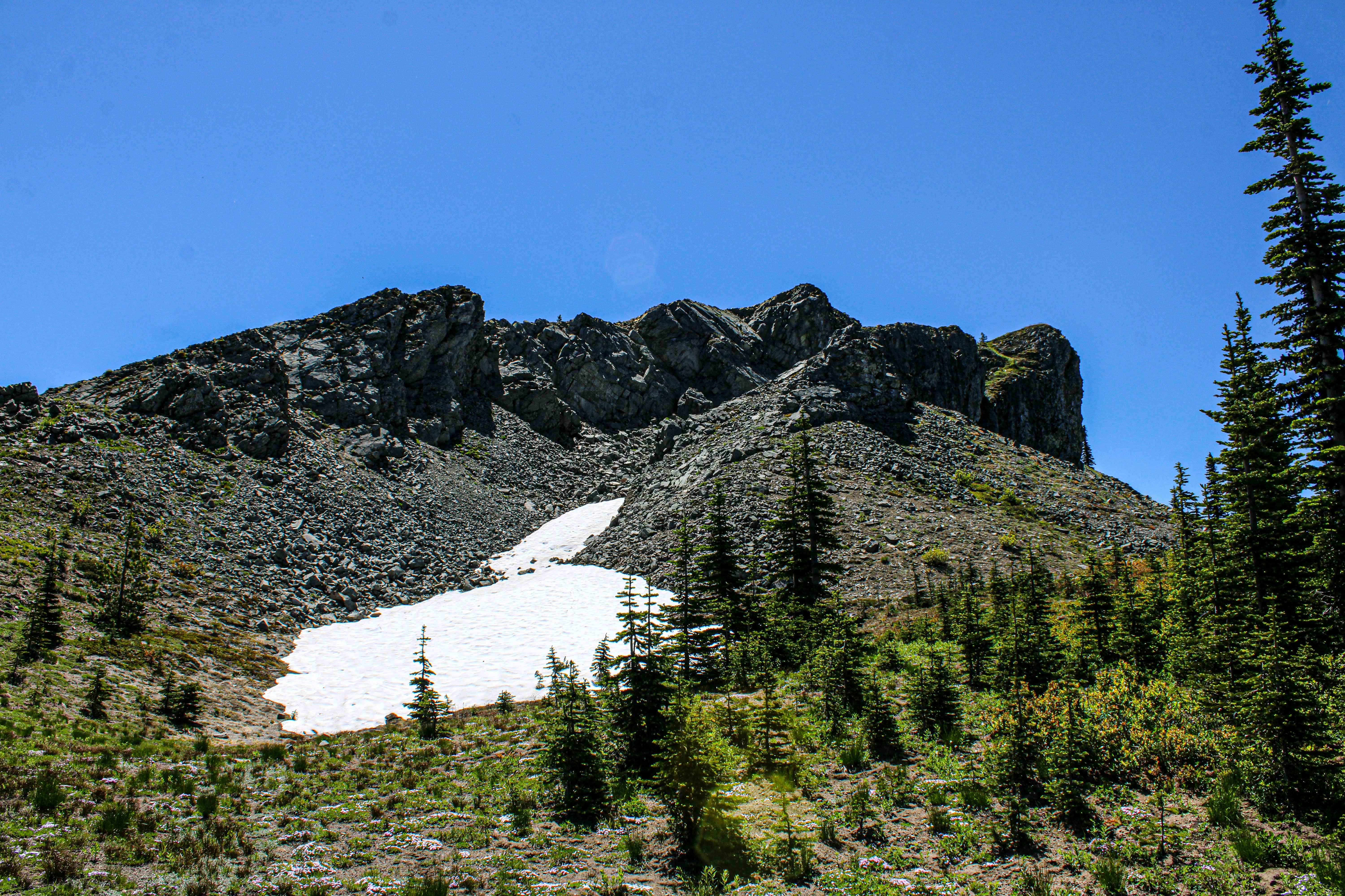 Photo by prphotography262