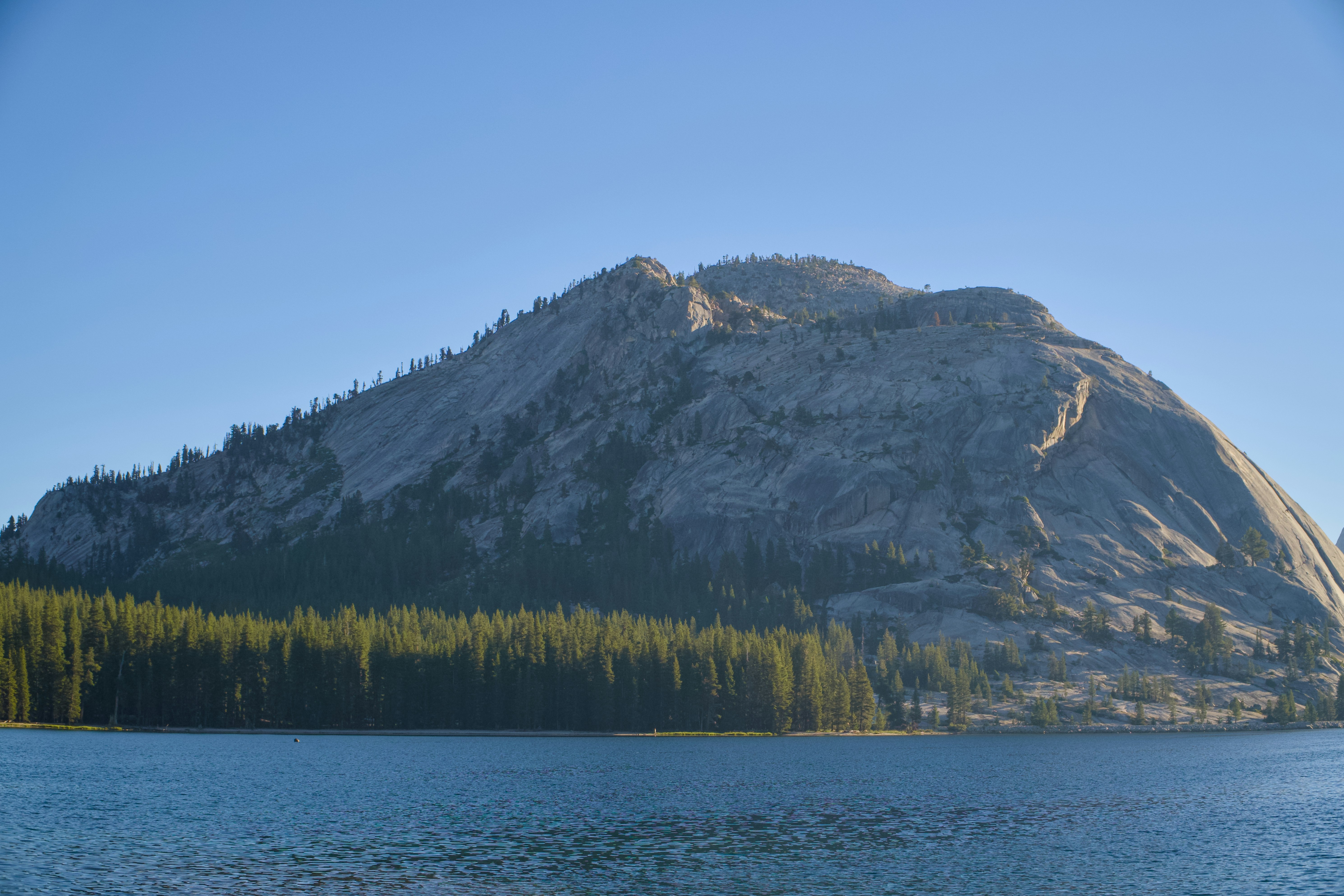 Photo by spencer_demera