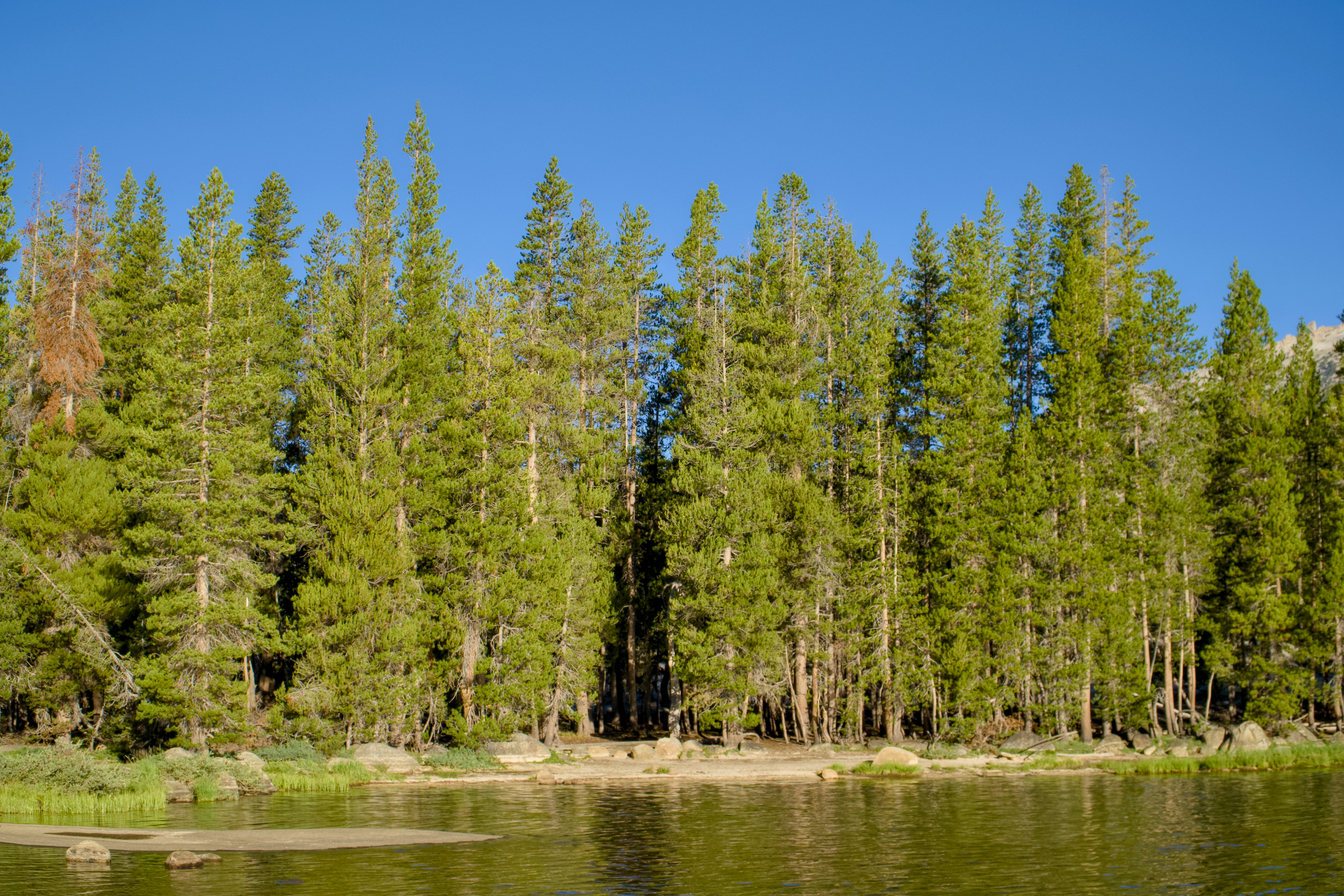 San Joaquin River Gorge Management Area