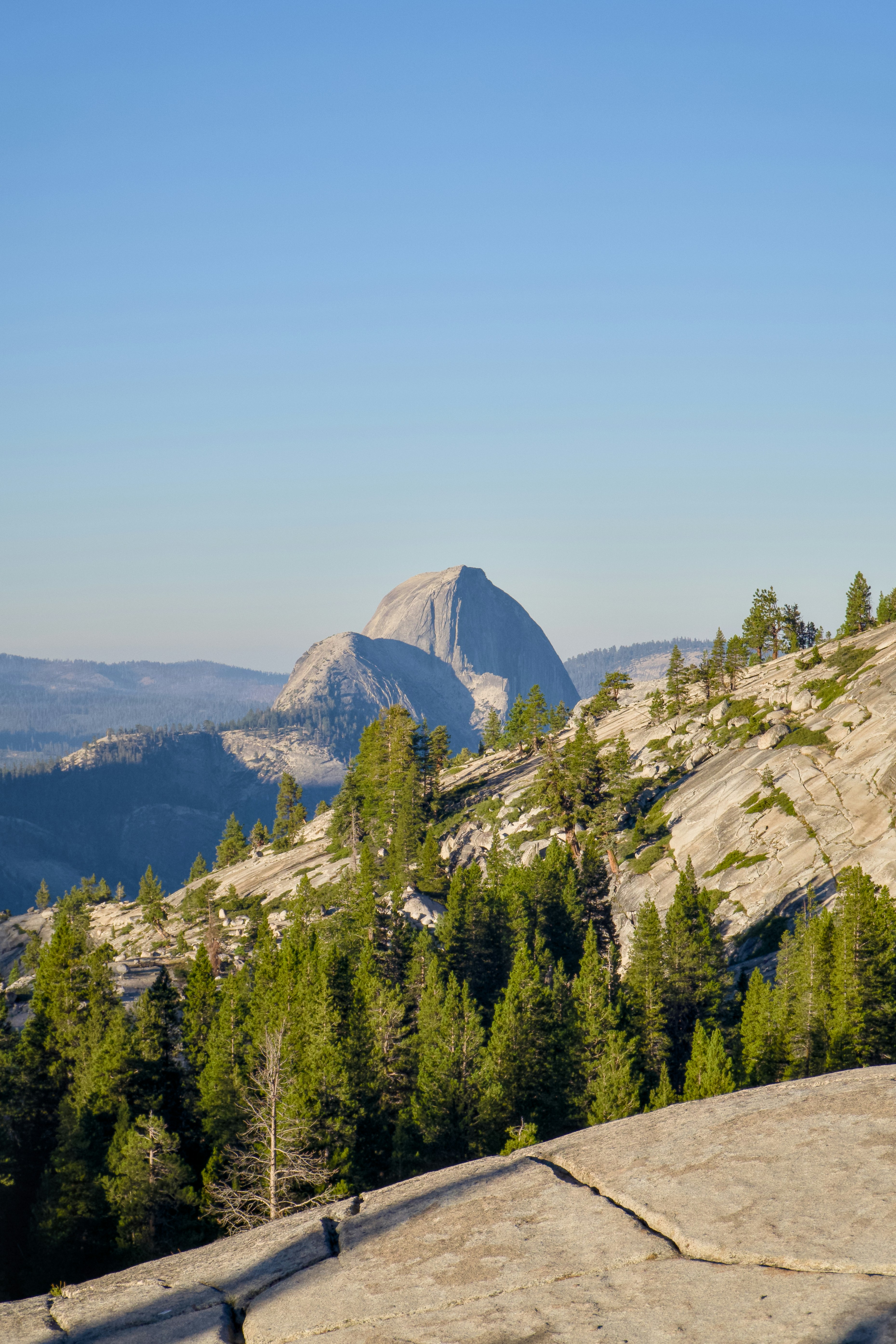 Photo by spencer_demera