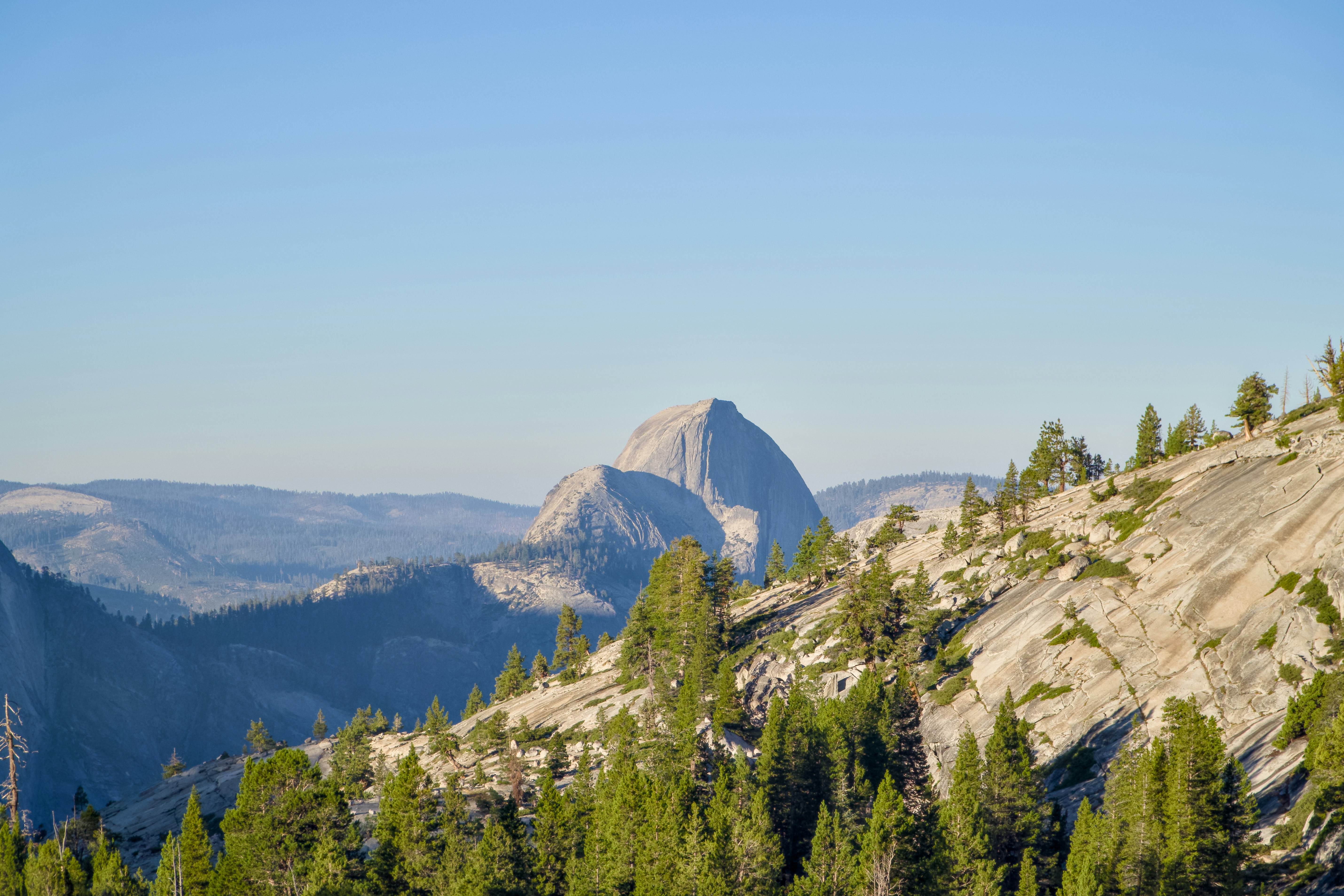 Photo by spencer_demera