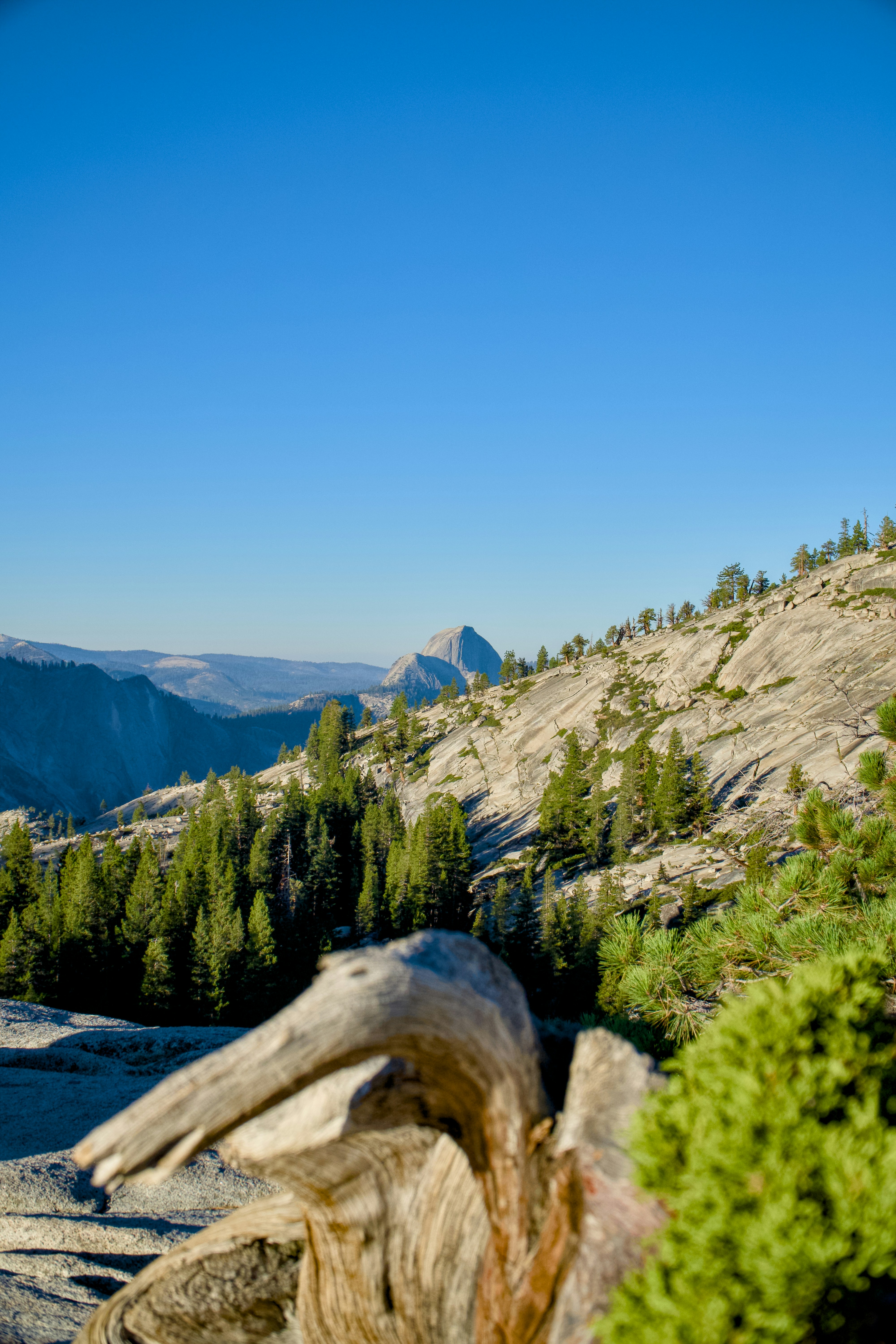 Photo by spencer_demera