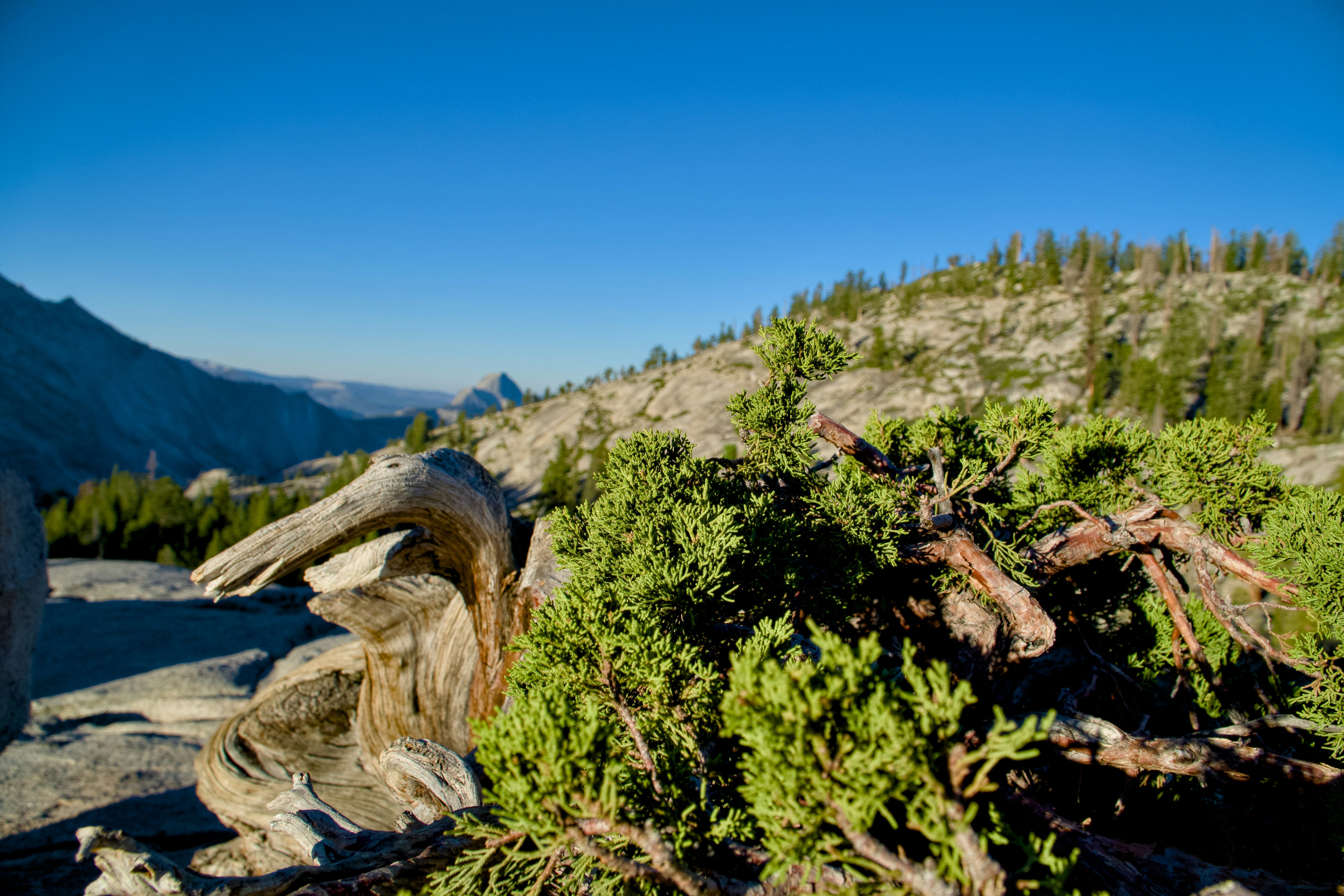 Photo by spencer_demera