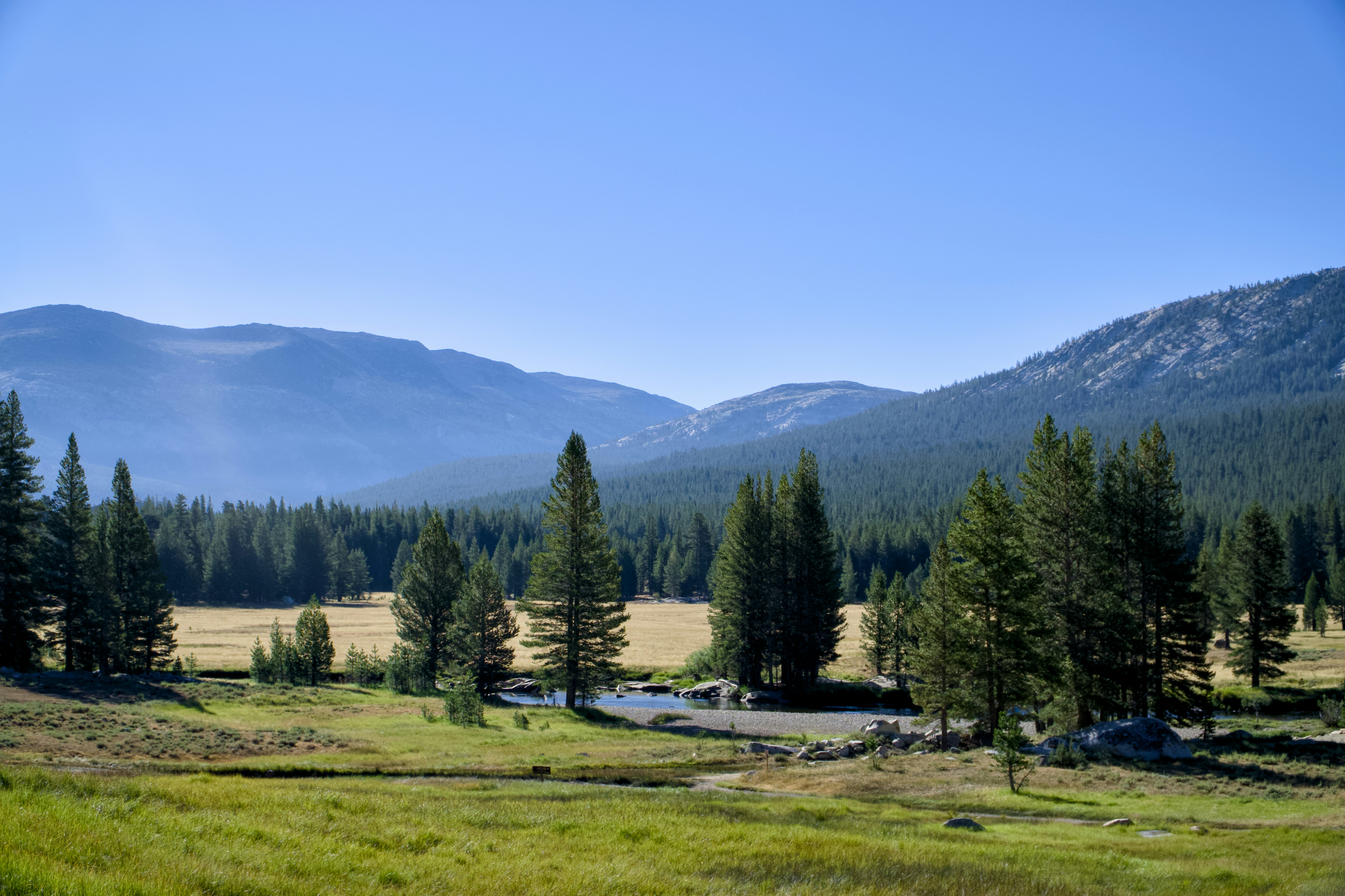 Photo by spencer_demera