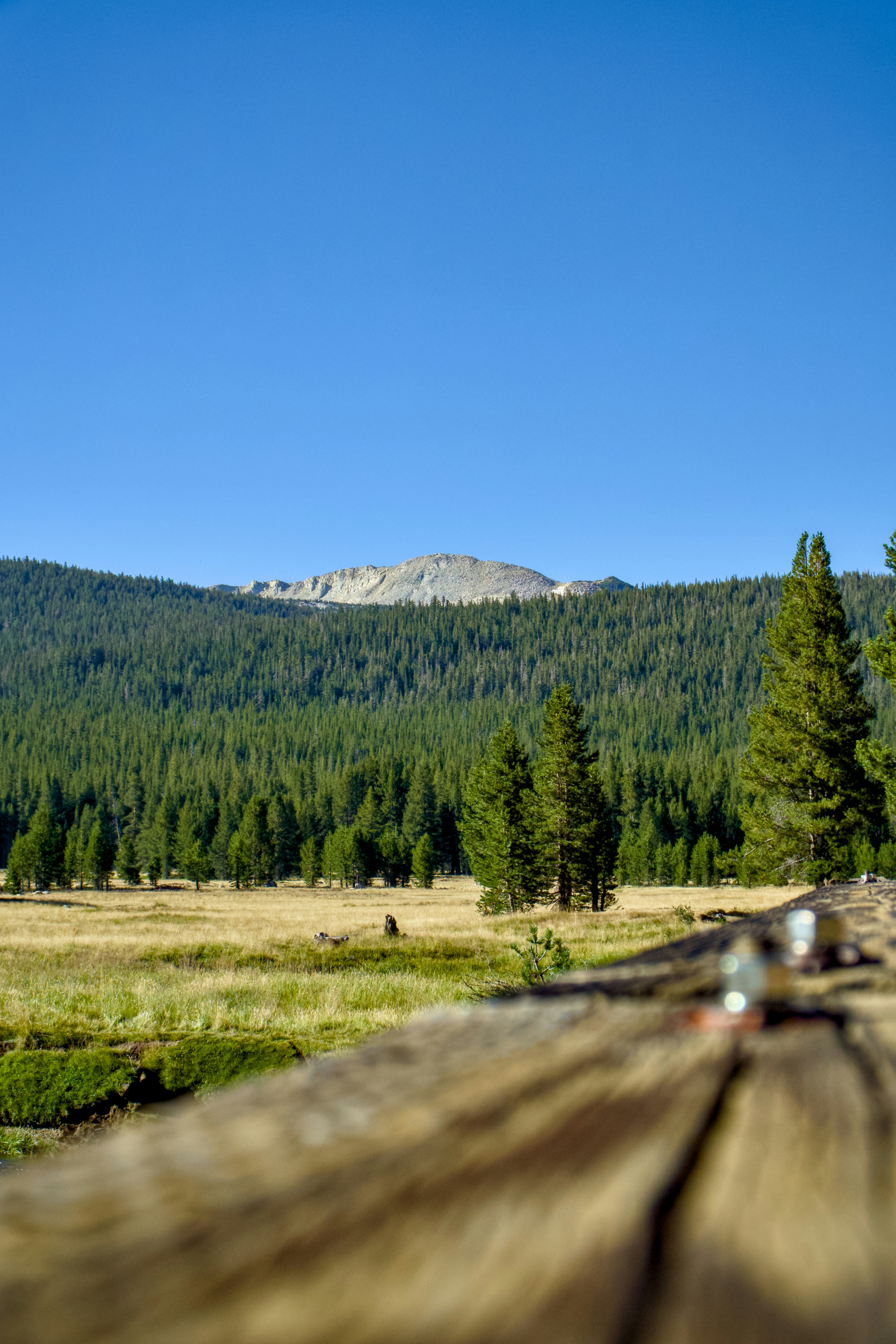 Photo by spencer_demera